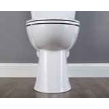 member's mark 2-piece high-efficiency dual flush toilet, white