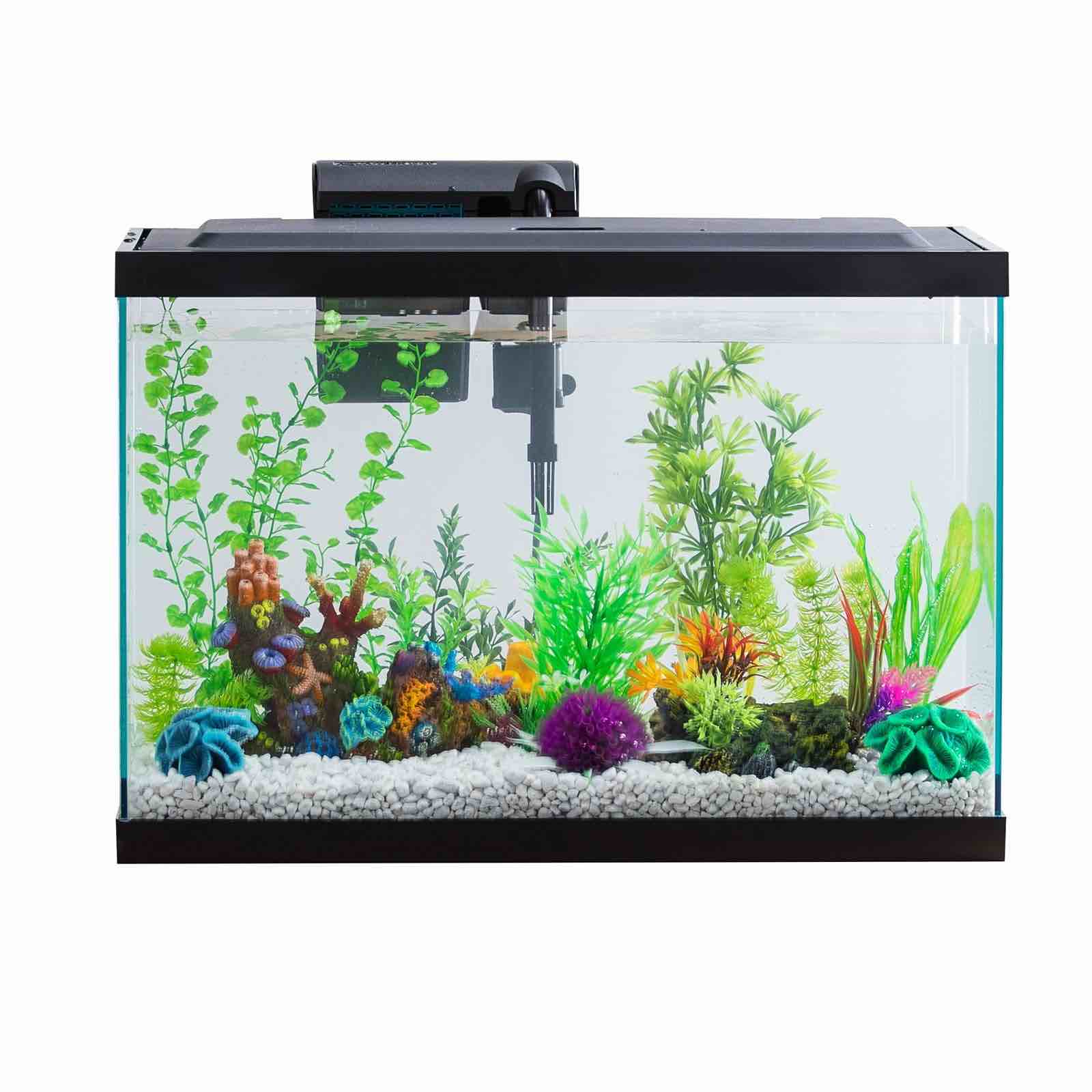 Aqua Culture 20-Gallon Glass Aquarium Starter Kit with LED
