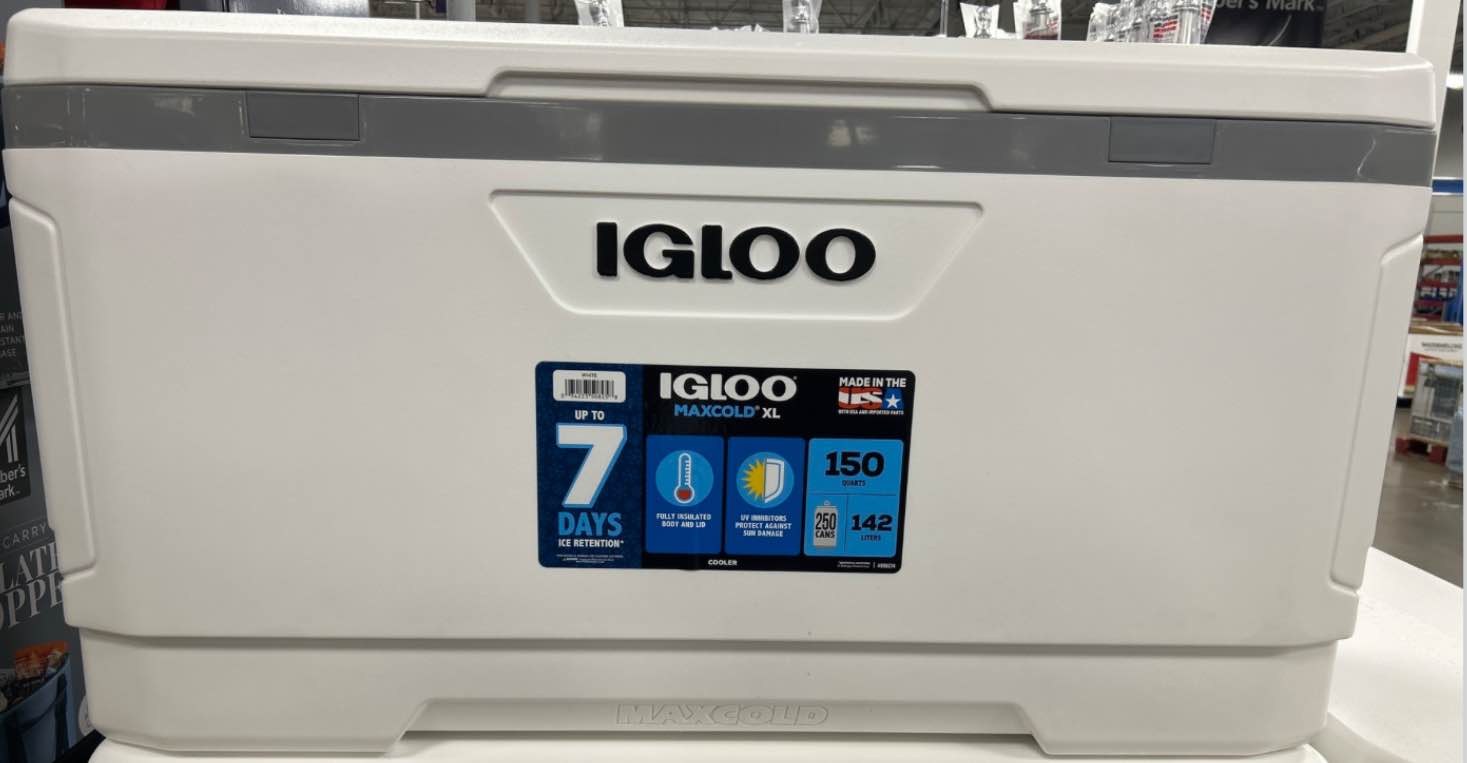 Igloo maxcold XL 150 Quarts