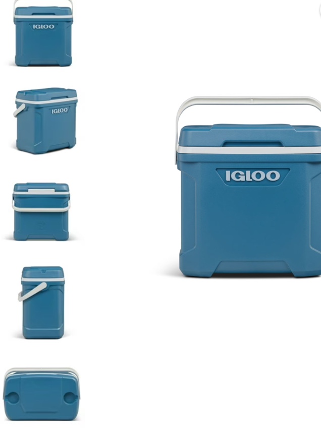 Igloo 30-Quart Cooler