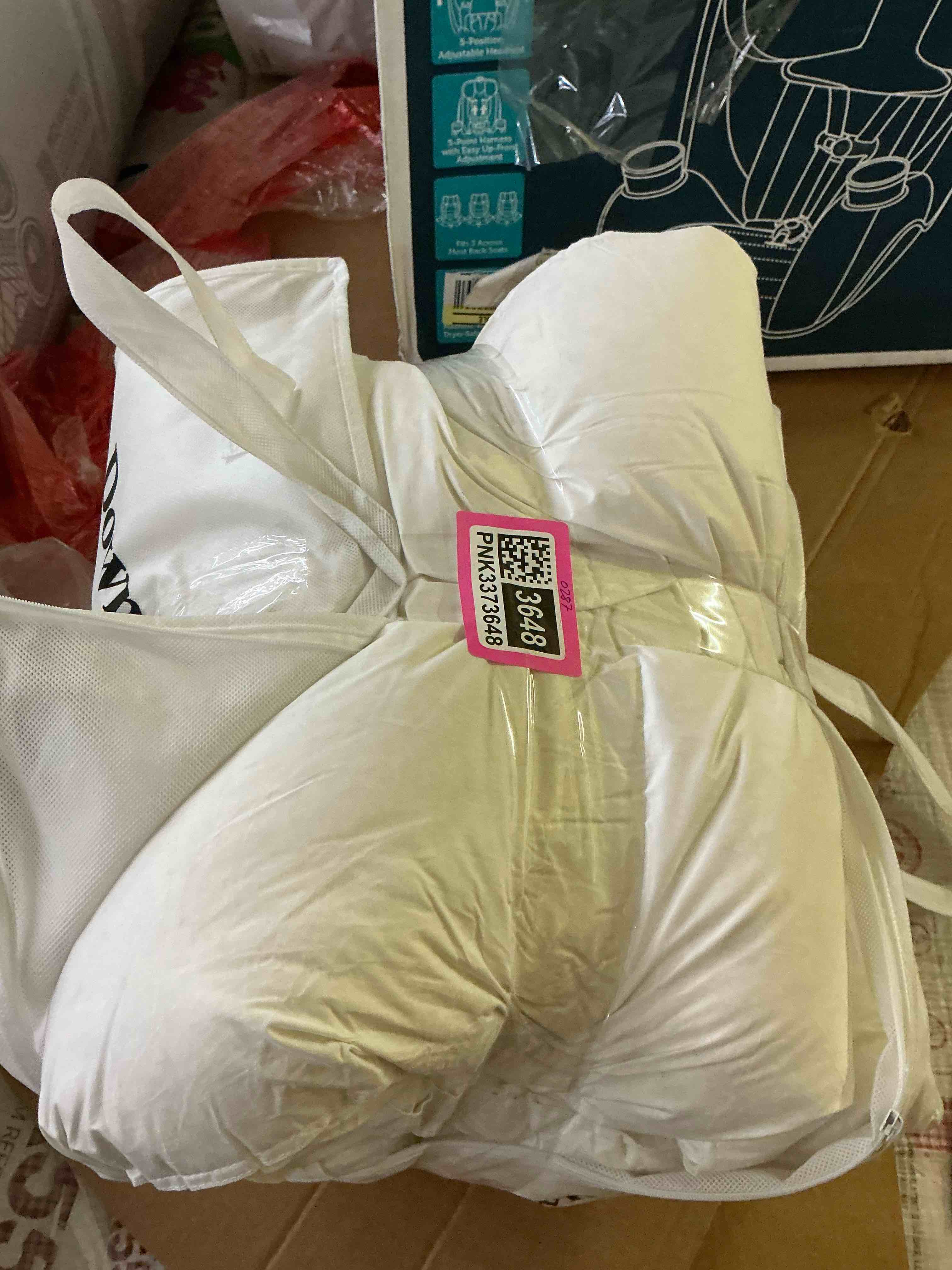 Pair of Queen size pillows