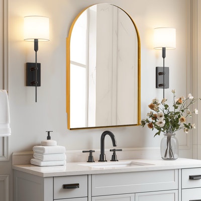 Danajee 24 w 36 h recessed framed medicine cabinet with mirror 