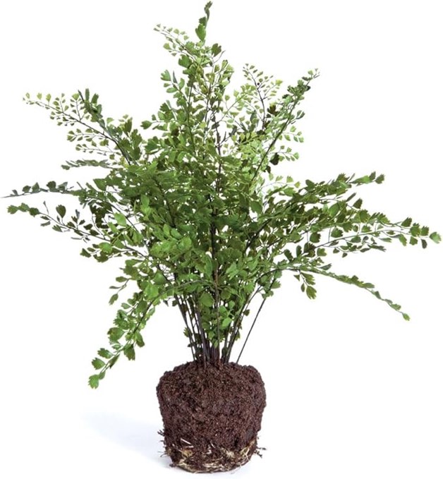 aluminum metal chain decorative sculpture, Maidenhair drop in 18.