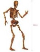 Beistle Jointed Skeleton Figurine for Party 6 Feet Paper Cutout
