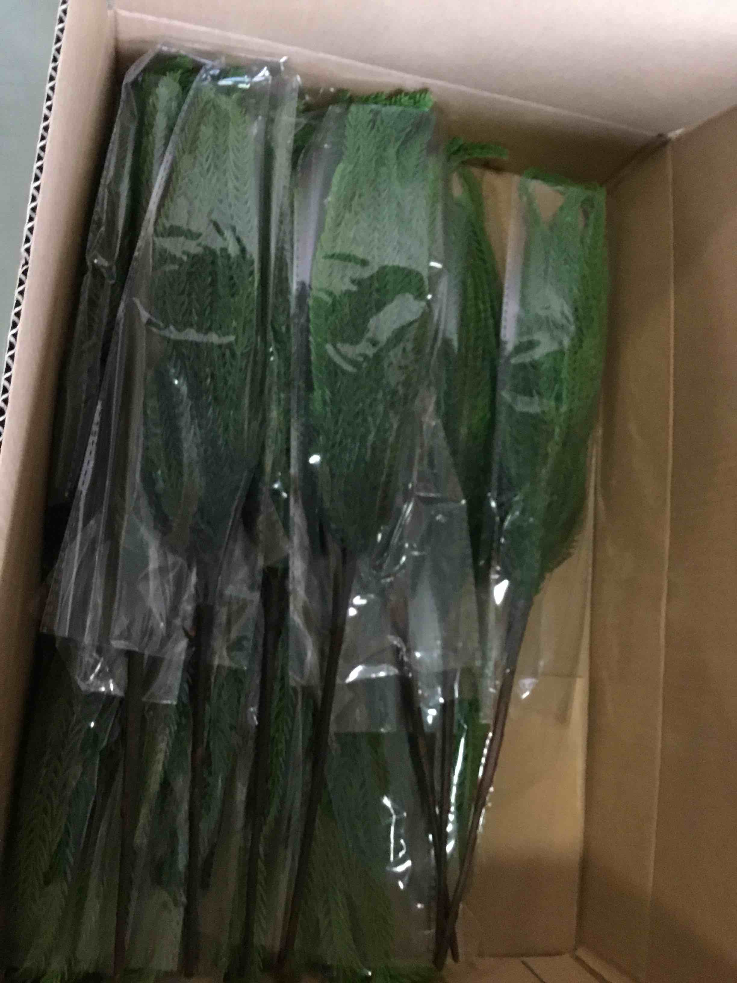 https://s3.amazonaws.com/lotting-images-prod/bidfta/PNK3434202_1746731069476.jpeg