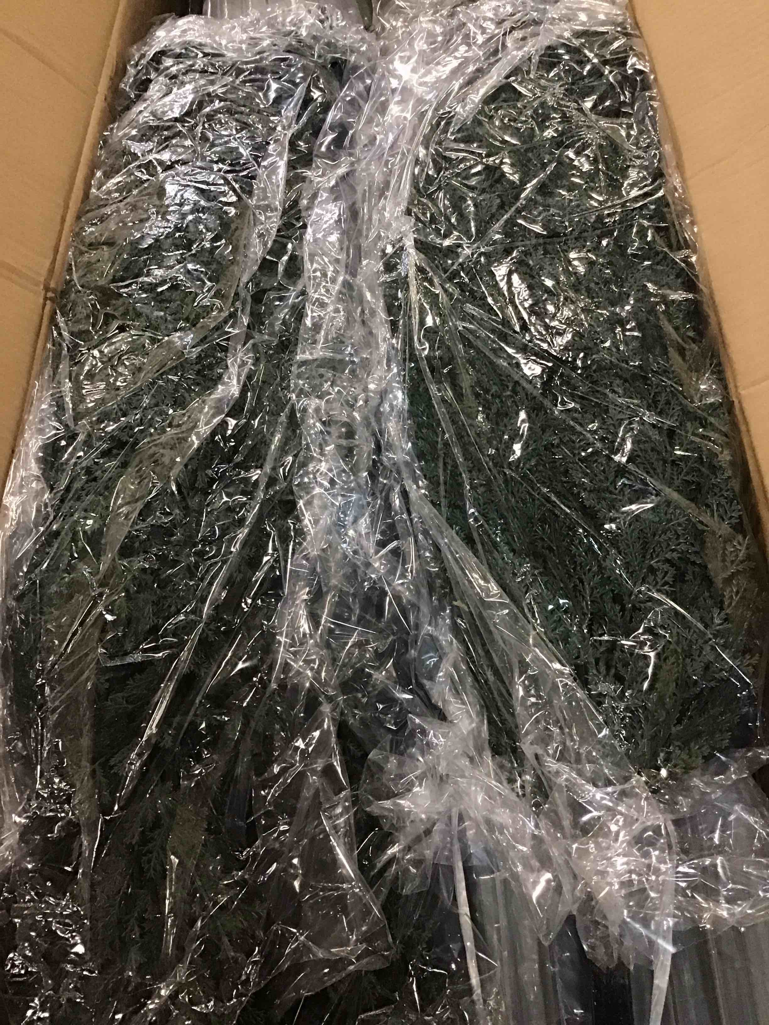 https://s3.amazonaws.com/lotting-images-prod/bidfta/PNK3453362_1750524790897.jpeg