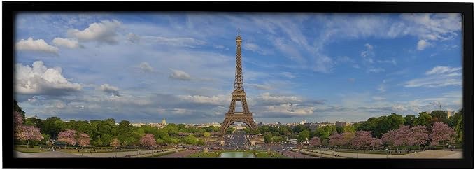 neil enterprises inc. black 24" x 8" panoramic picture frame