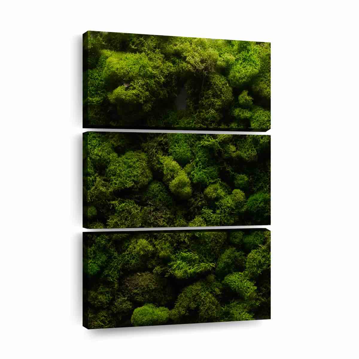 Thick Moss " 3 - Pieces