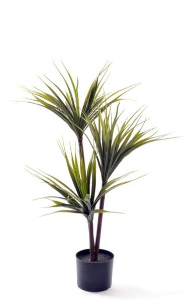 Artificial 39? Dracaena Indoor & Outdoor in Black Pot