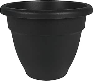 large planter