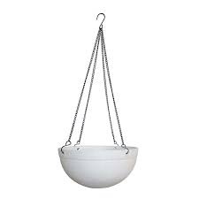 Southern Patio 12 in. Monroe Hanging basket