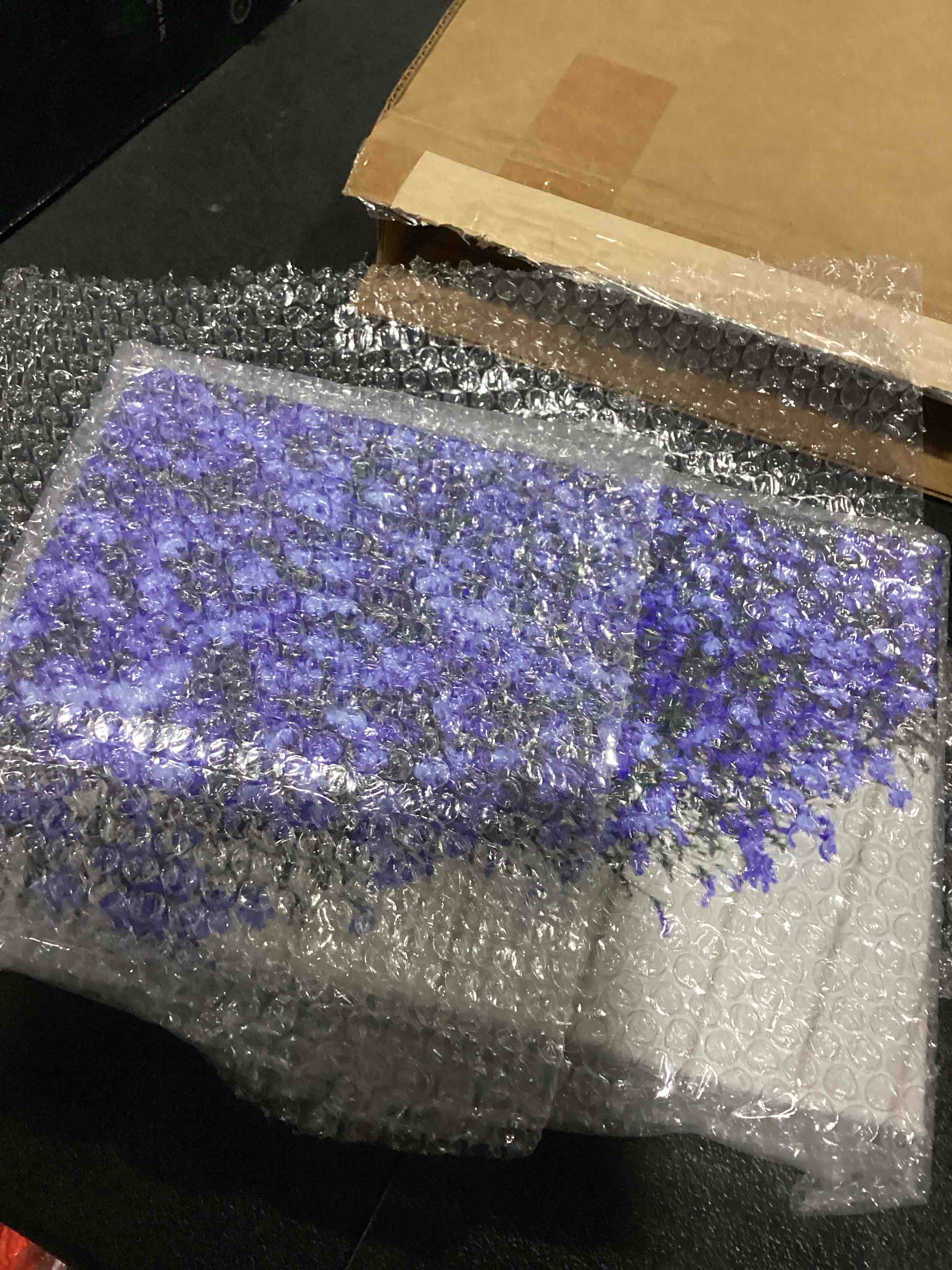 https://s3.amazonaws.com/lotting-images-prod/bidfta/PNK3632921_1751388264892.jpeg