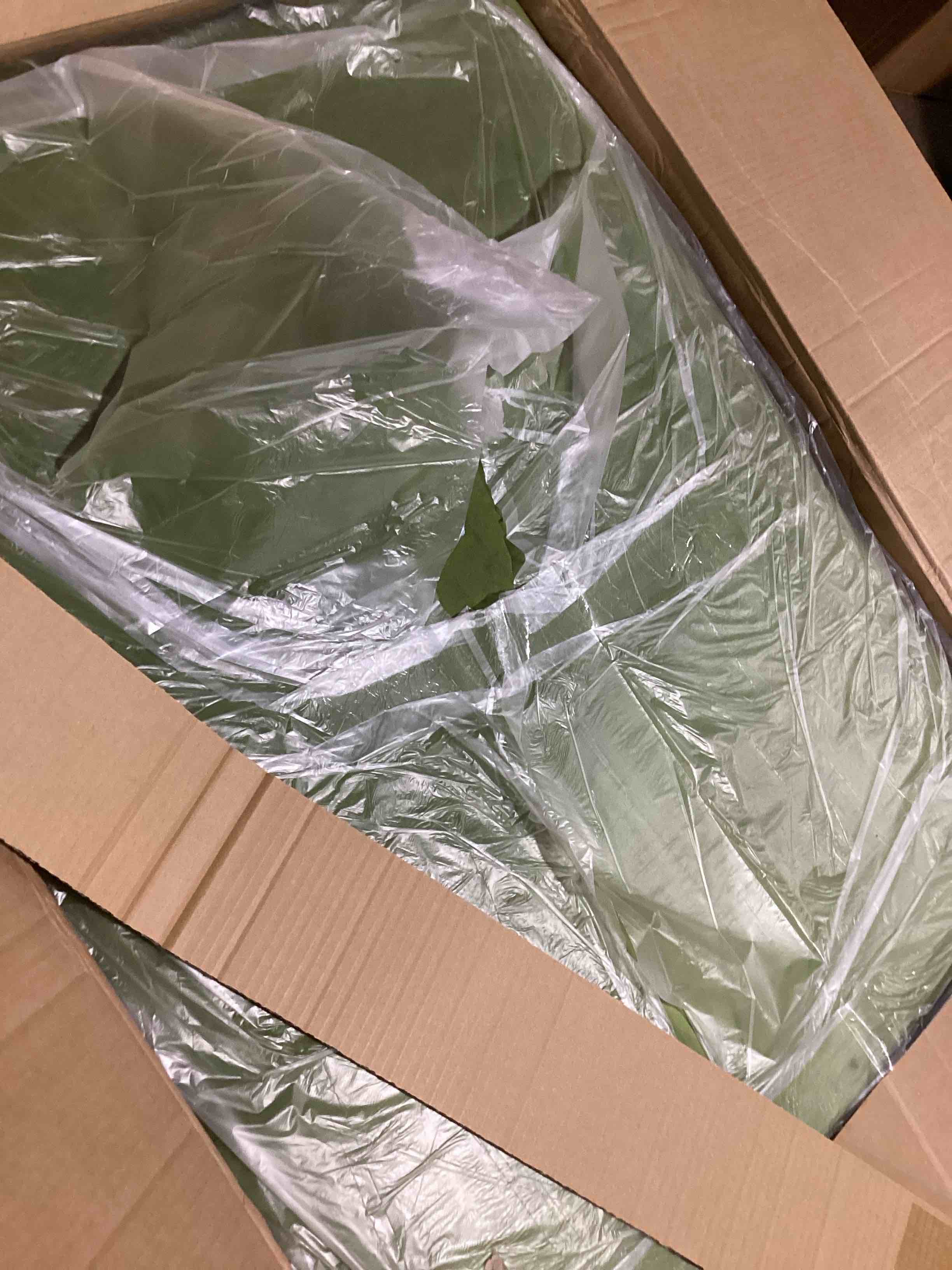 https://s3.amazonaws.com/lotting-images-prod/bidfta/PNK3633472_1752157051130.jpeg