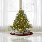 The World's Best Prelit Fraser Fir