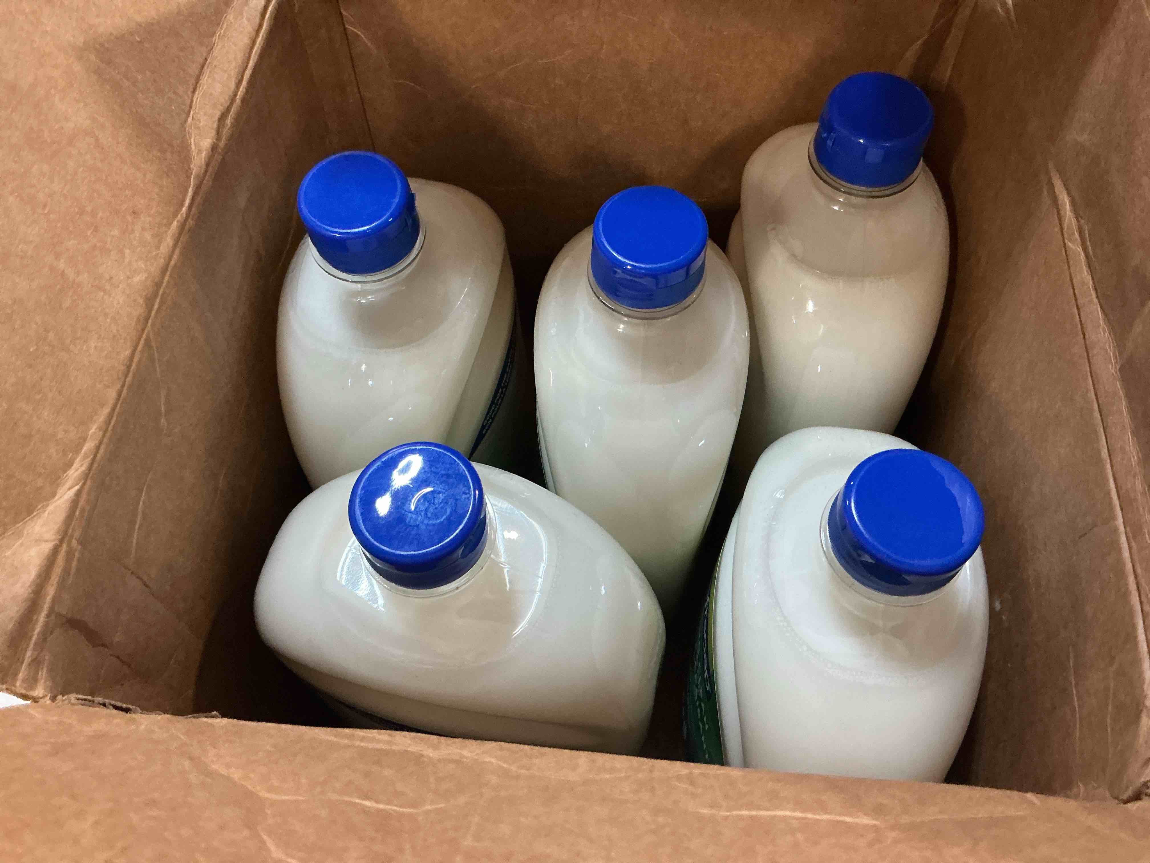 Condition photo showing New/Like New for (case pack of 5) Softsoap - US05264A SOFTSOAP Liquid Hand Soap Refill, Soothing Aloe Vera, 50 Ounce Bottle, Bathroom Soap, Bulk Soap, Moisturizing Hand Soap, Premium Scented Hand Soap (Pack of 5) Packaging May Vary White