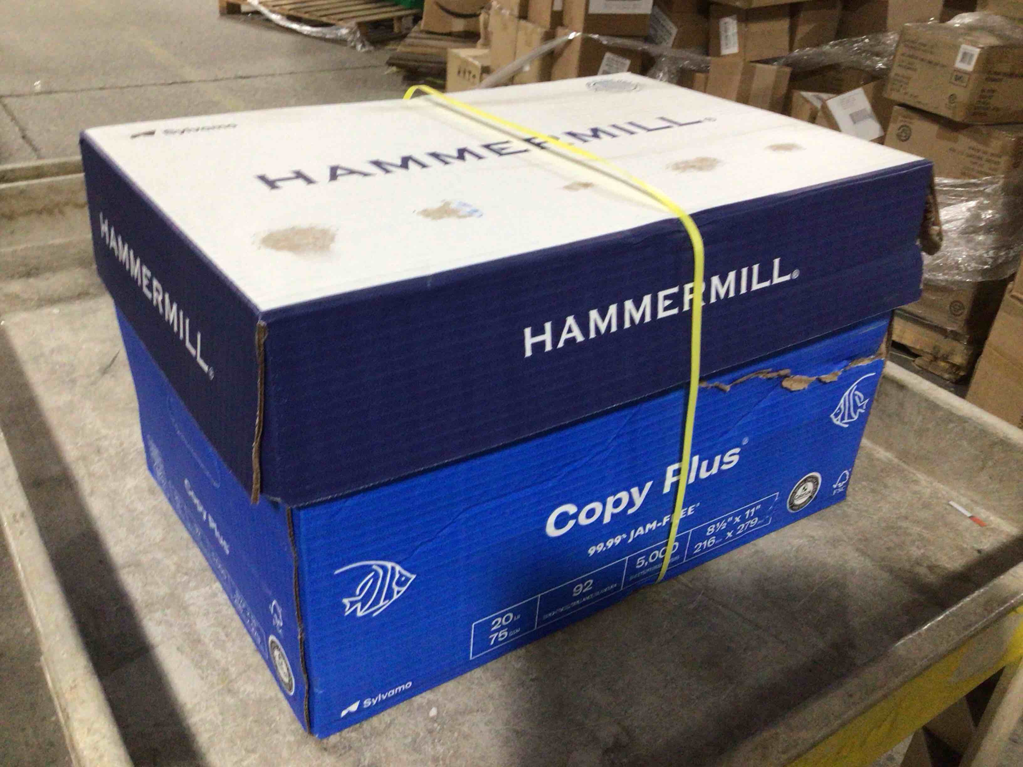 New Household Items! 