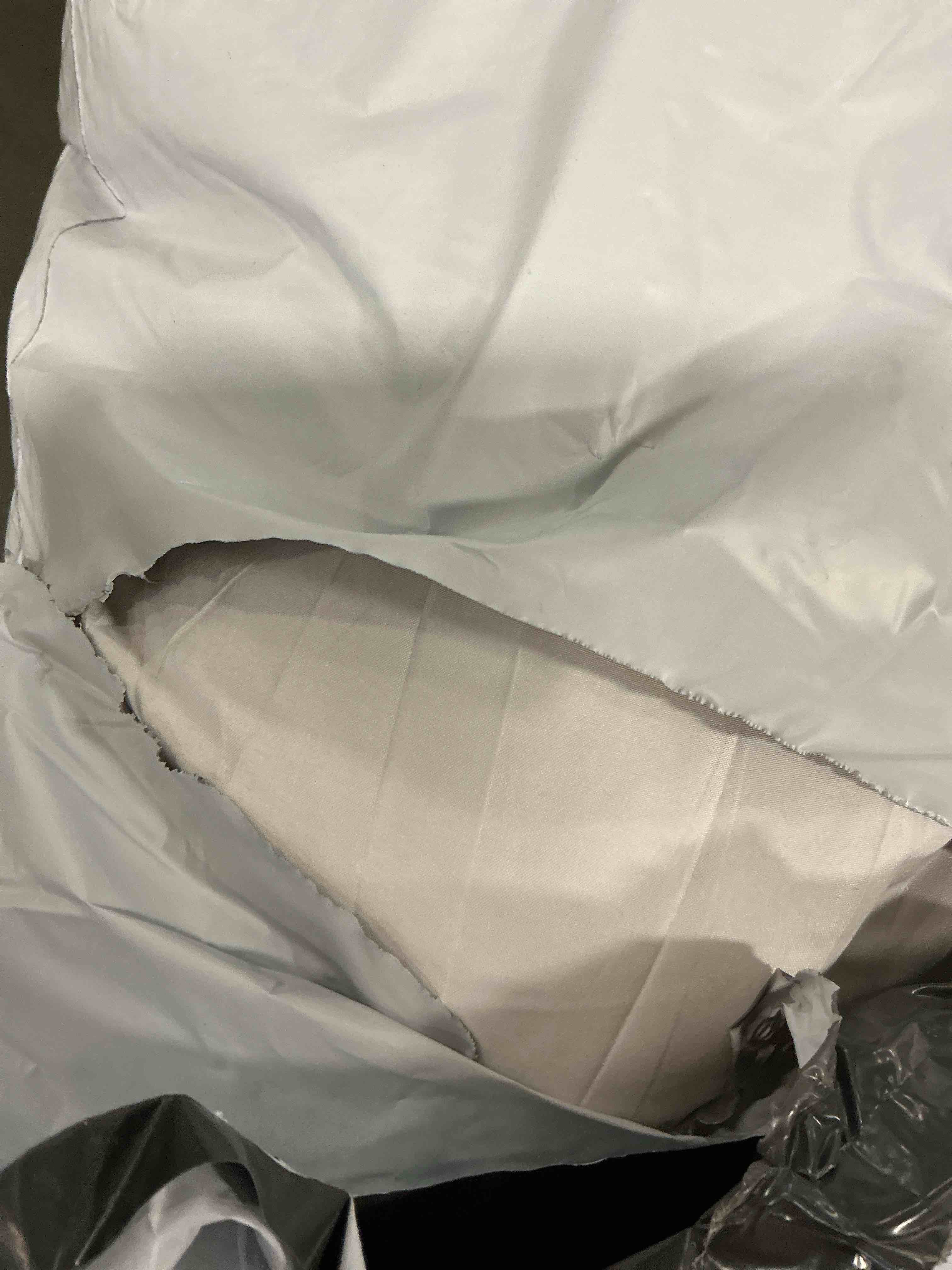 Amazon Basics Down Alternative Pillow for Back Side Sleepers, Medium Density, Standard Size, 26" x 20", 2-Pack, White