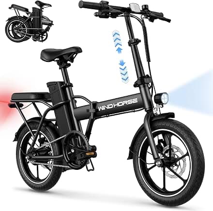 Windhorse Foldable Electric Bike W2 