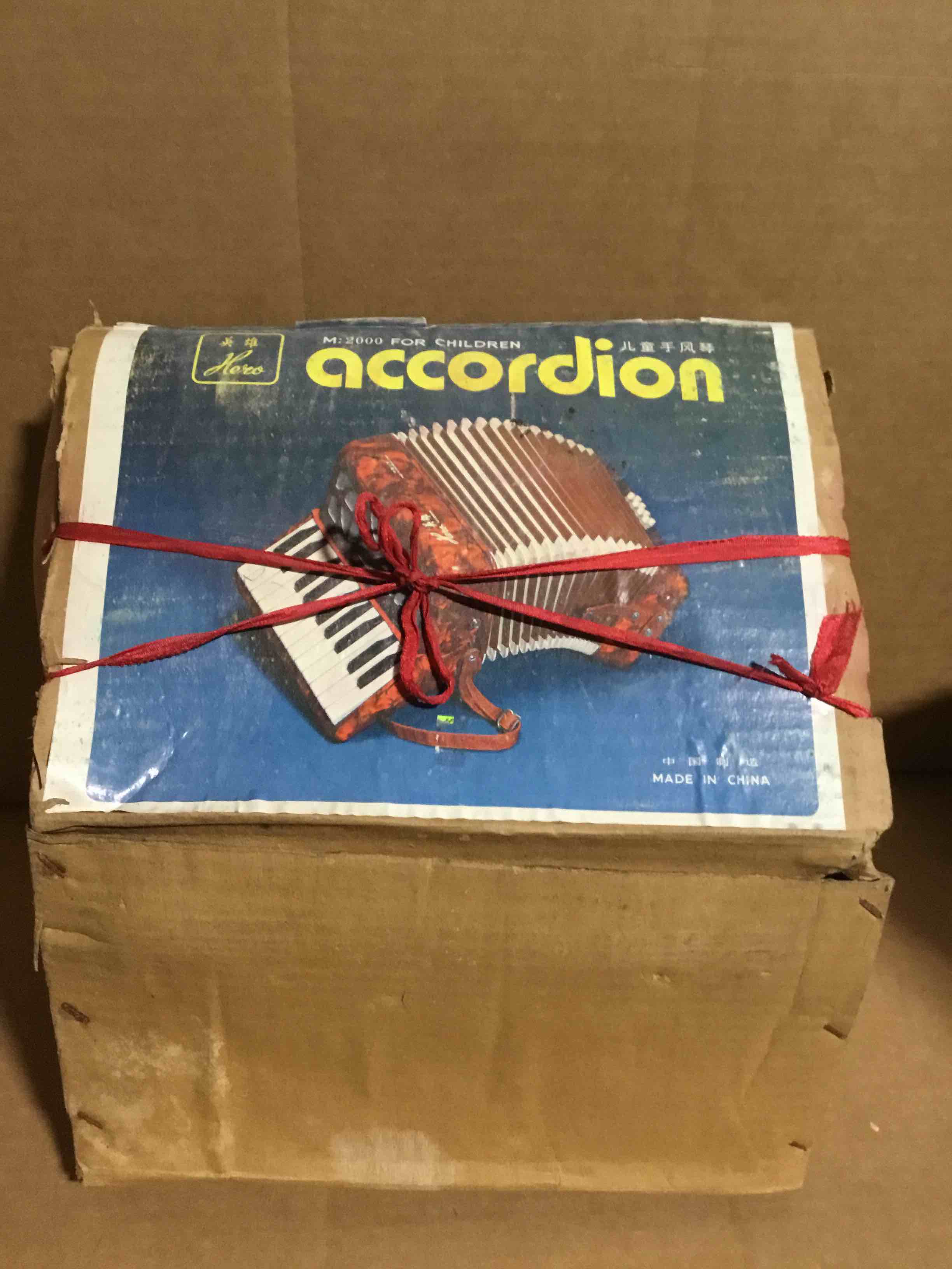 Piano Accordion, Musical Instrument 