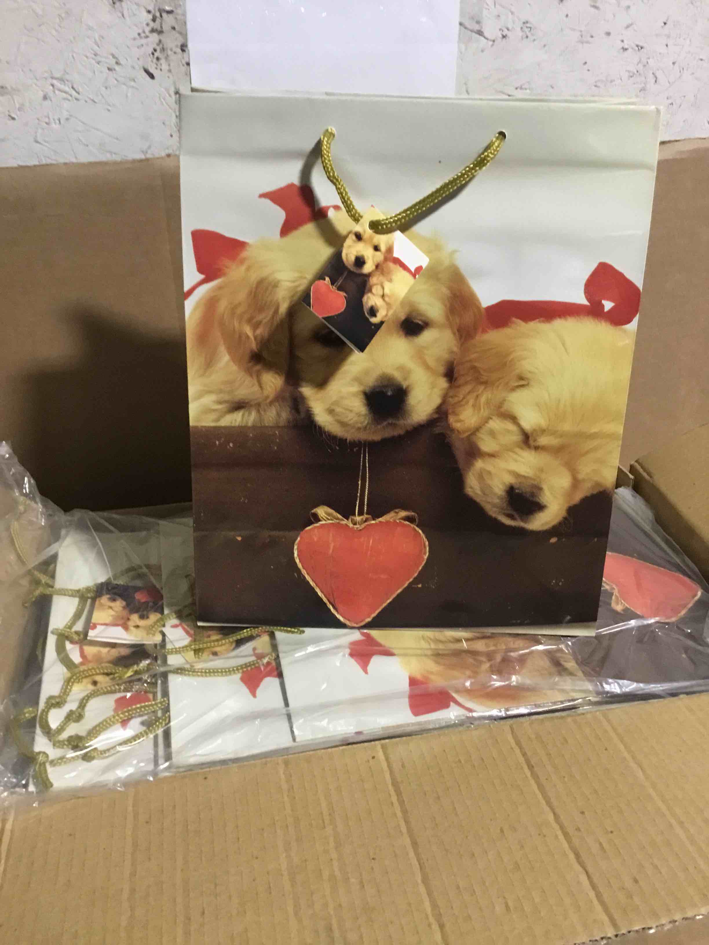 Box 180 Dog Gift Bag