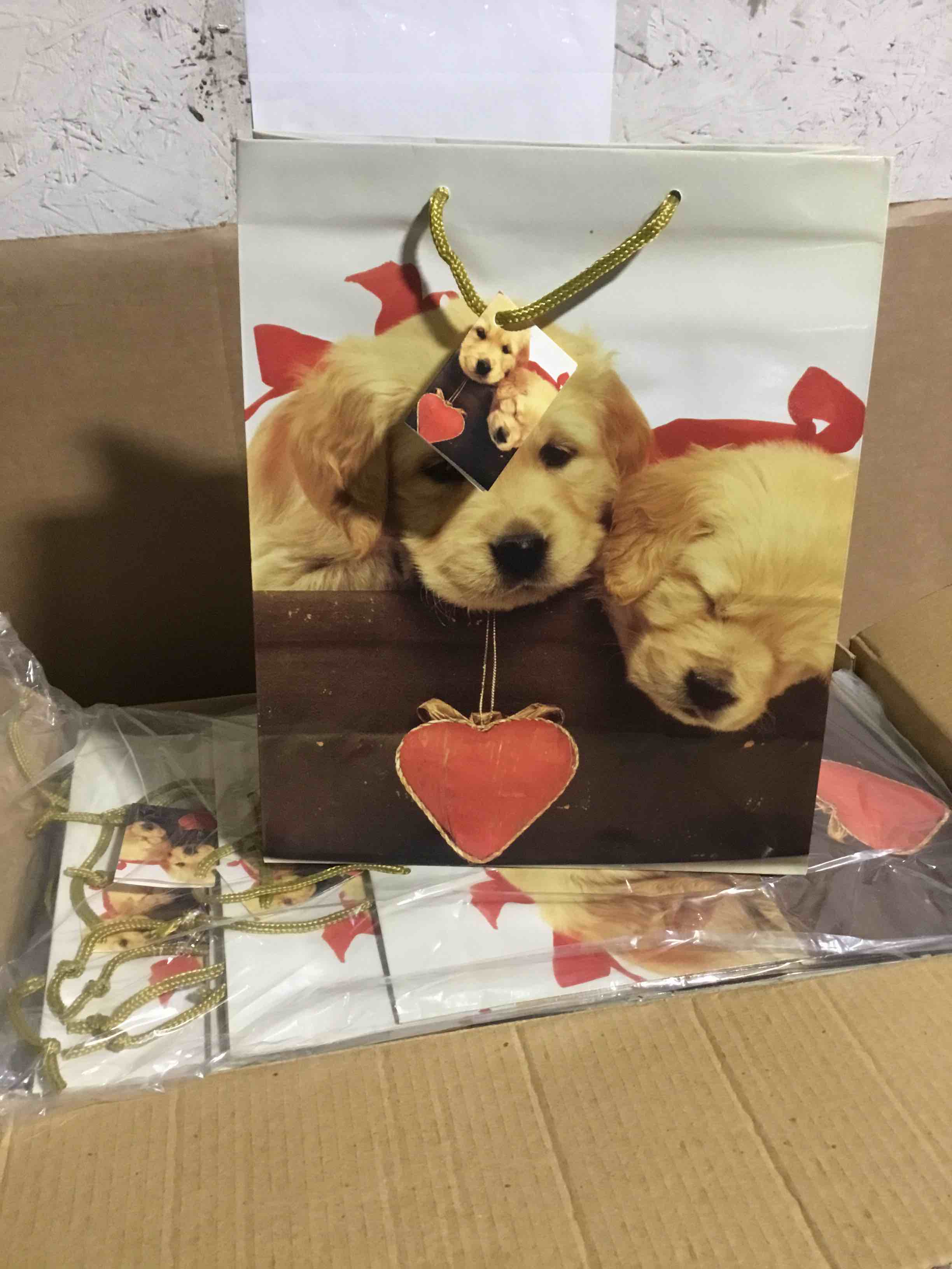Condition photo showing New/Like New for Box 180 Dog Gift Bag