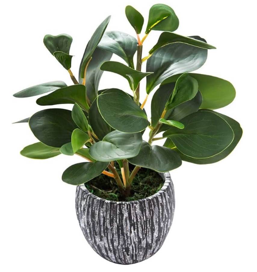 AlphaAcc Fake Faux Fiddle Leaf Fig Cement Planter Housewarming Desk Decor
