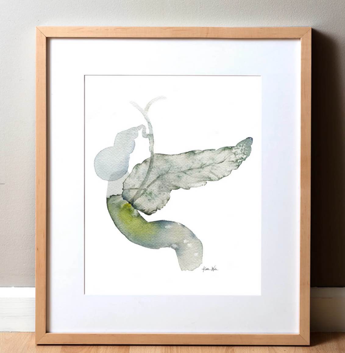 Ampulla of Vater Watercolor Print