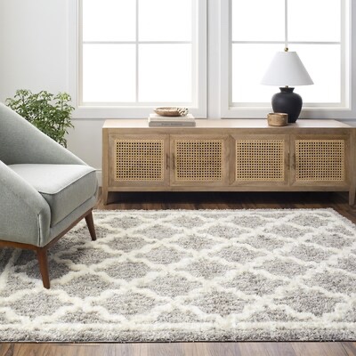 Livabliss Florida Polyester Light Gray/White Rectangular Indoor Geometric Global Area rug