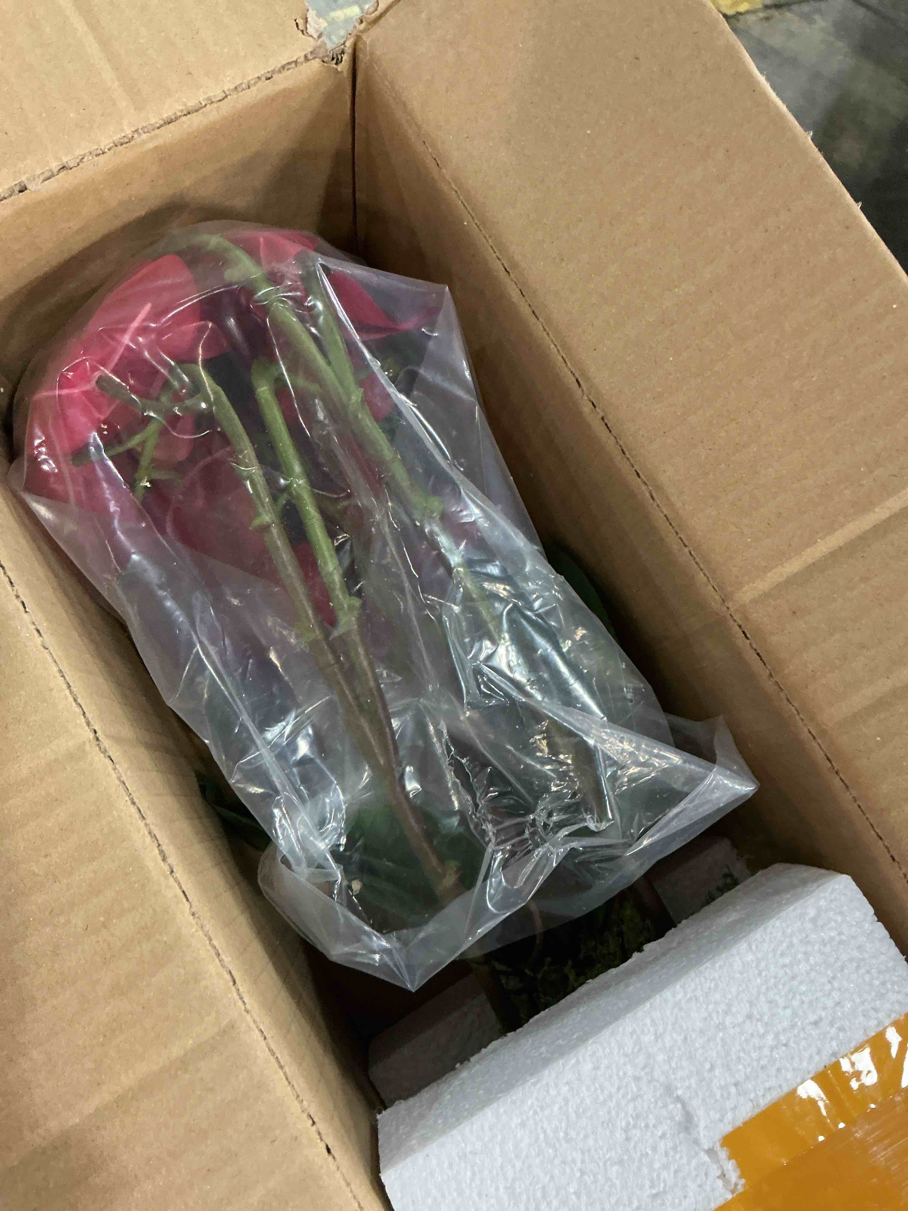 Condition photo showing New/Like New for cxgs orchids artificial flowers real touch fake flowers in ceramic pot 20" red faux orchid plant lifelike silk phalaenopsis for centerpiece hotel home indoor decor