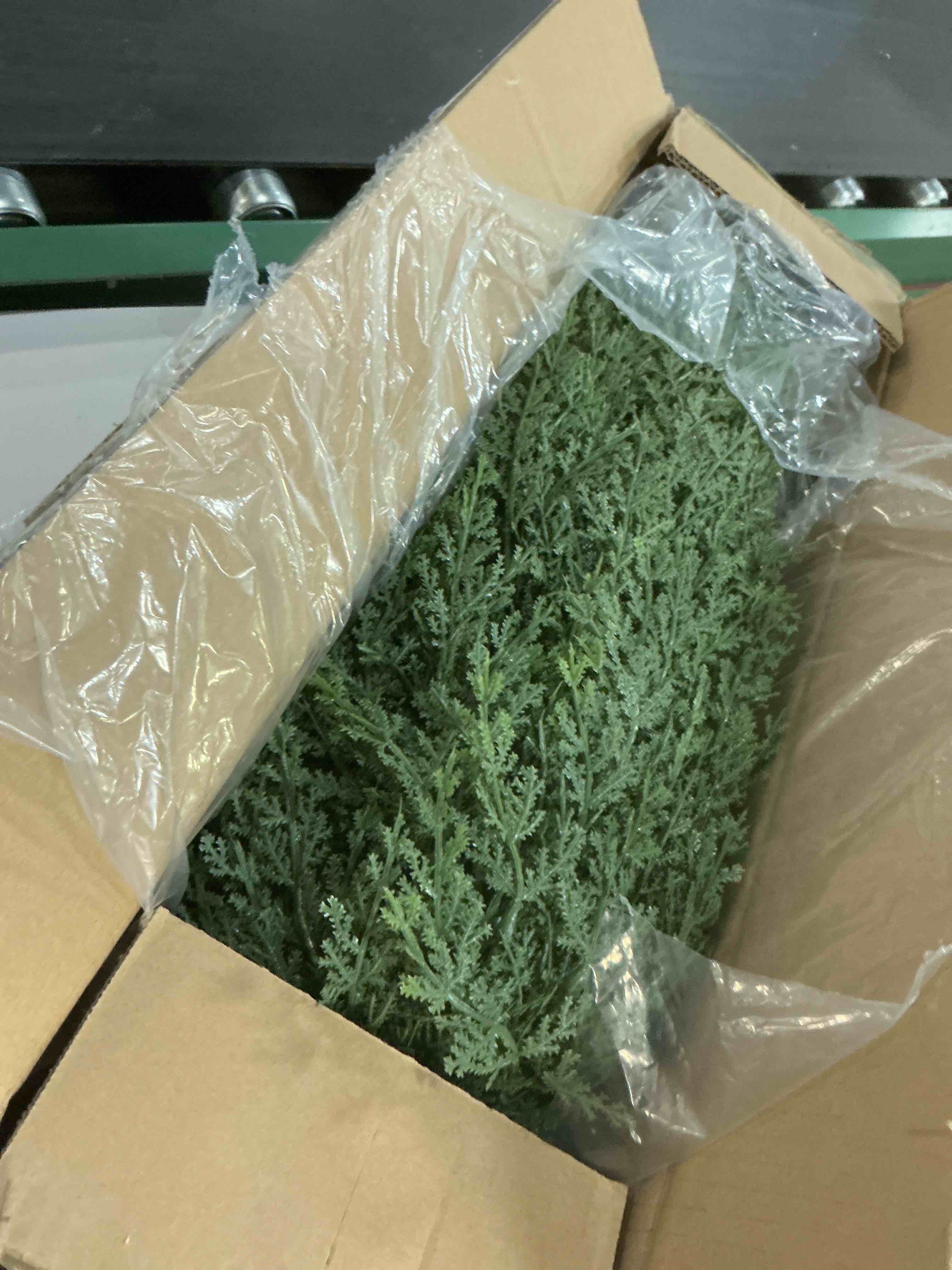 Condition photo showing New/Like New for 3ft artificial cedar topiary trees with ground spike, set of 2 uv resistant fake evergreen bushes shrubs trees artificial plants realistic faux cypress plants for indoor outdoor front porch garden
