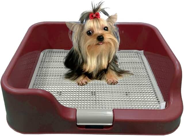 ps korea] indoor dog potty tray - with protection wall every side for no leak, spill, accident - keep paws dry and floors clean (wine) tray only wine
