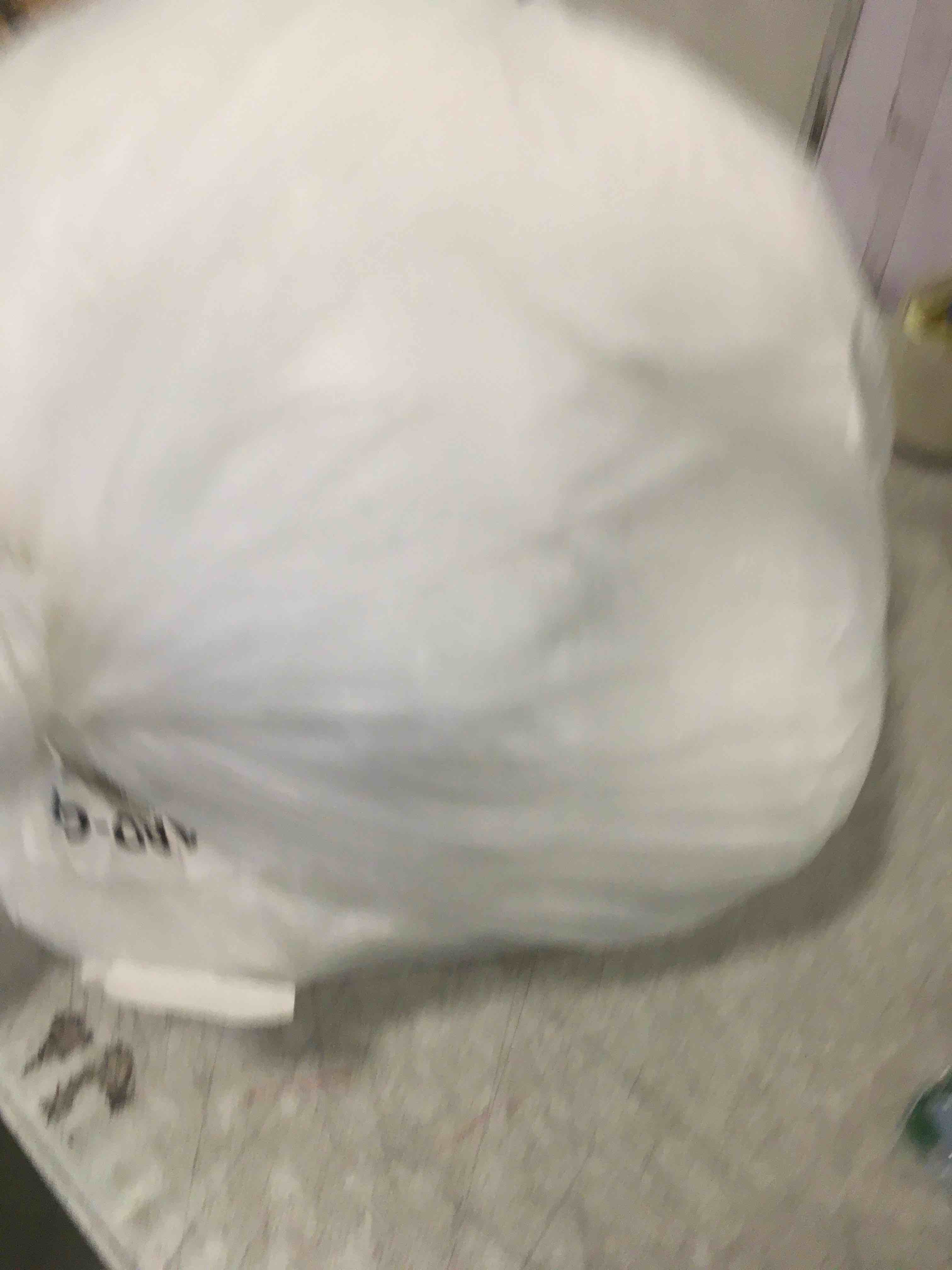 https://s3.amazonaws.com/lotting-images-prod/bidfta/PPE00153462_1728392943109.jpeg