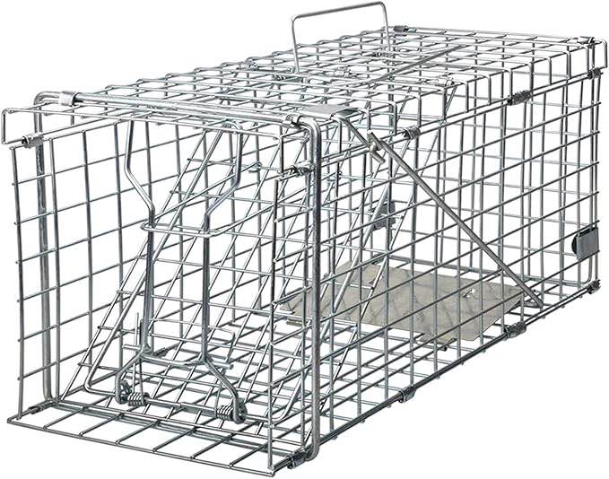 Heavy Duty Live Animal Trap for Squirrels, Small Rabbits and More