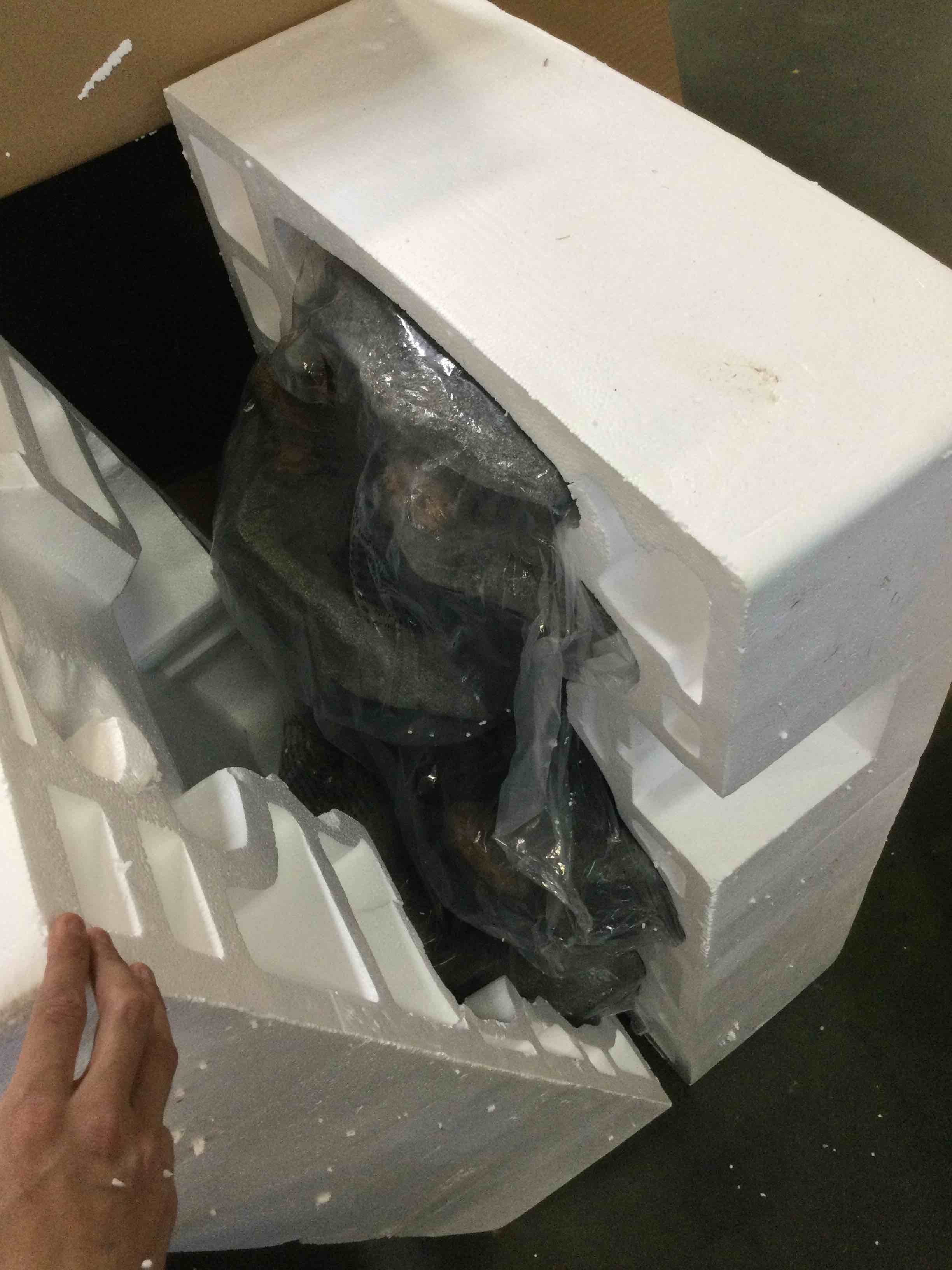 https://s3.amazonaws.com/lotting-images-prod/bidfta/PPE00214810_1729790165572.jpeg