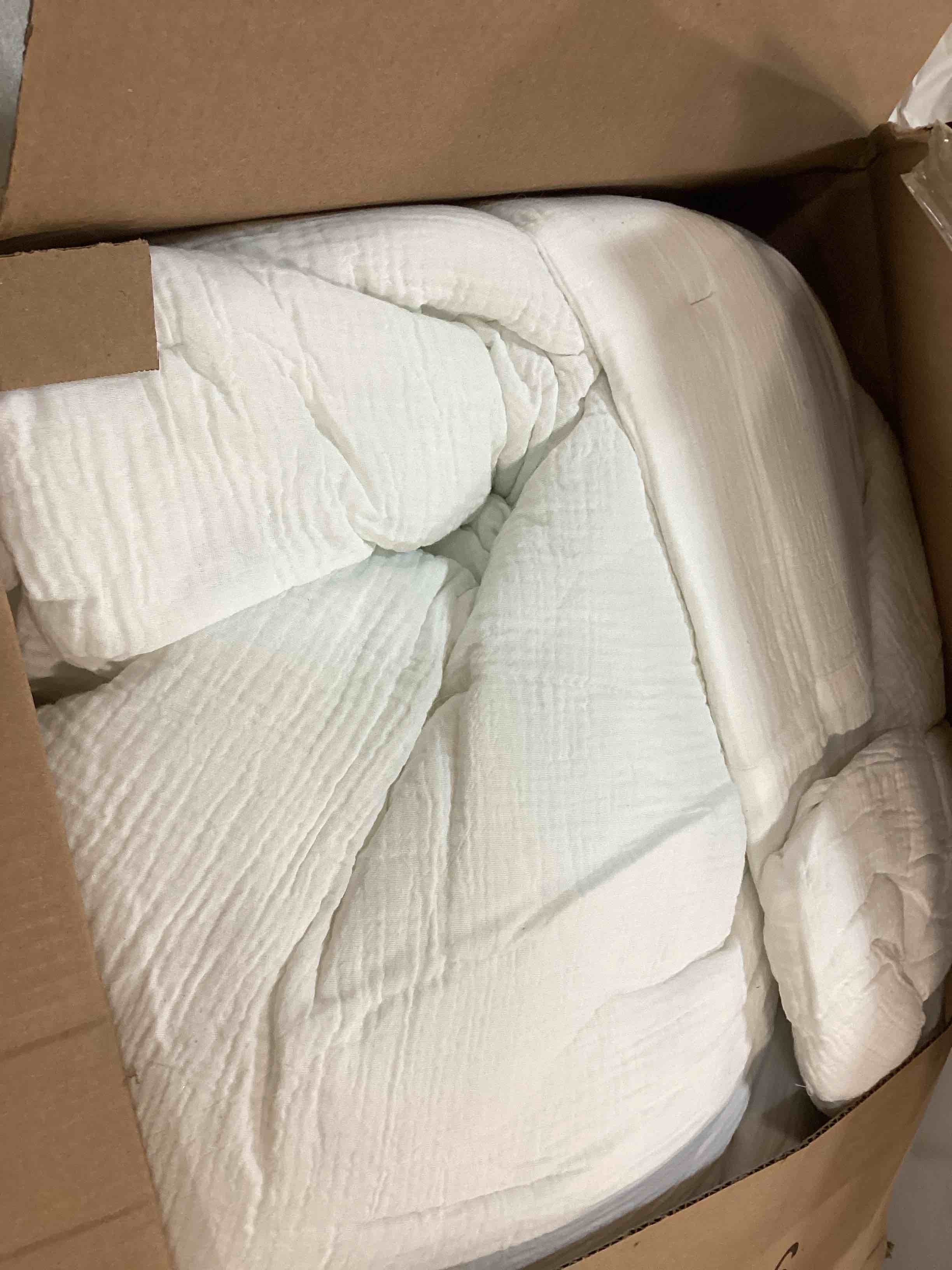 https://s3.amazonaws.com/lotting-images-prod/bidfta/PPE0026488_1728363168579.jpeg