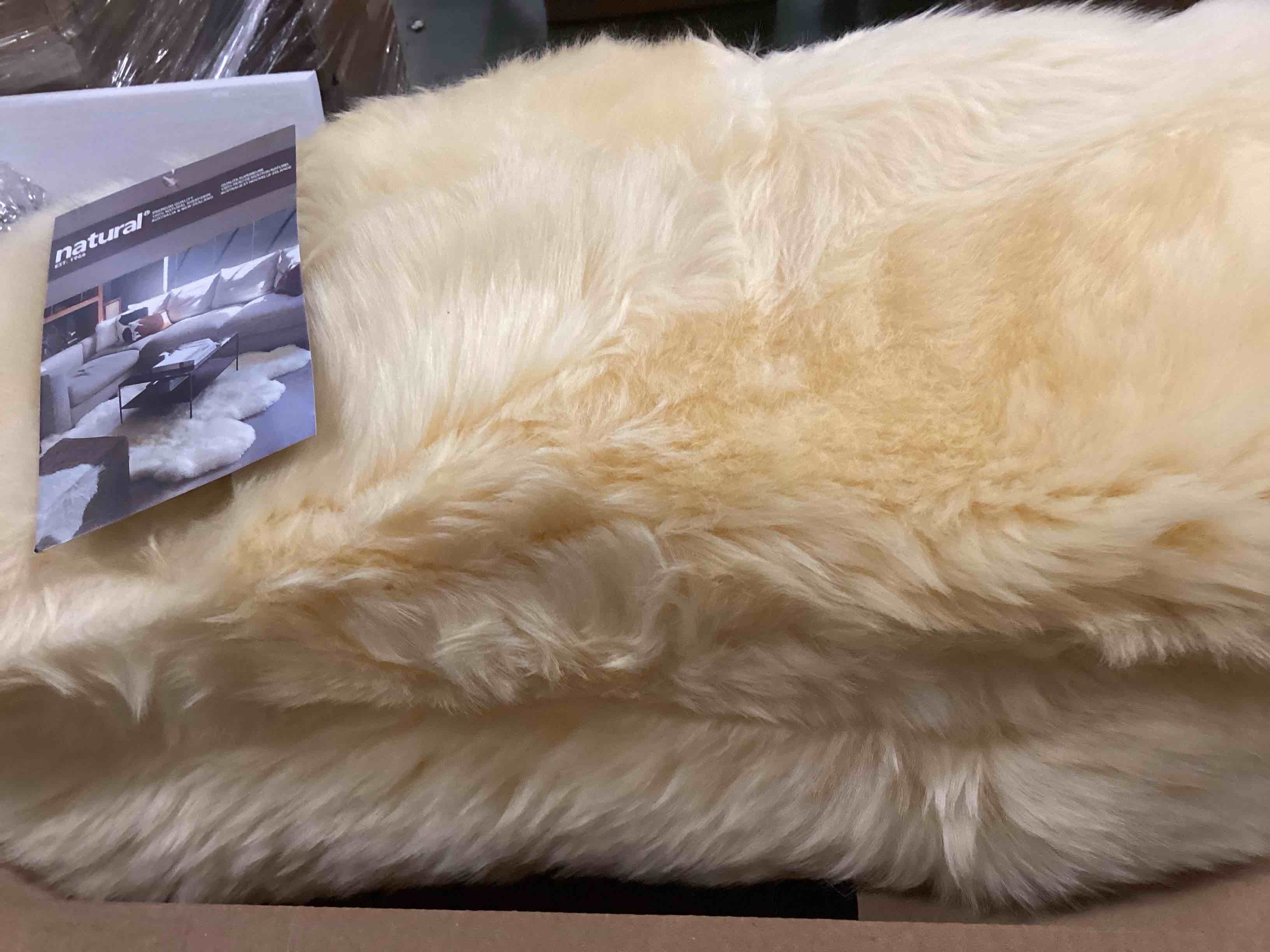 https://s3.amazonaws.com/lotting-images-prod/bidfta/PPE0037197_1746470965204.jpeg