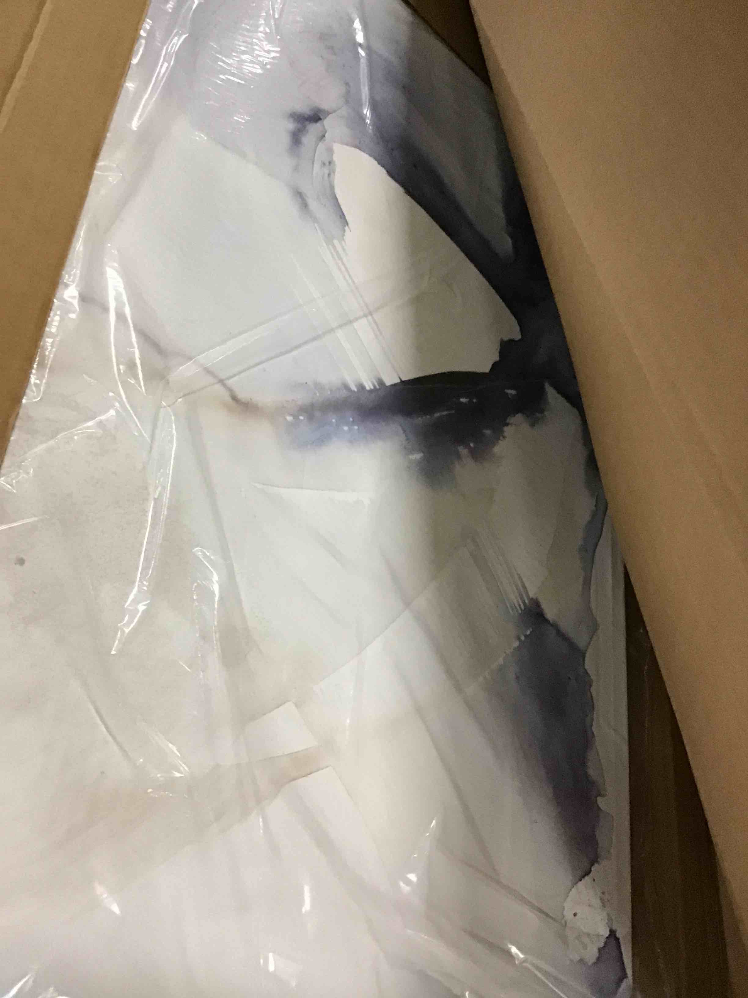 Trademark Fine Art Canvas Wall Art - Incado 'Vibrance II' Wall Art for Living Room, Bedroom, or Office Décor 30 x 47 Inches