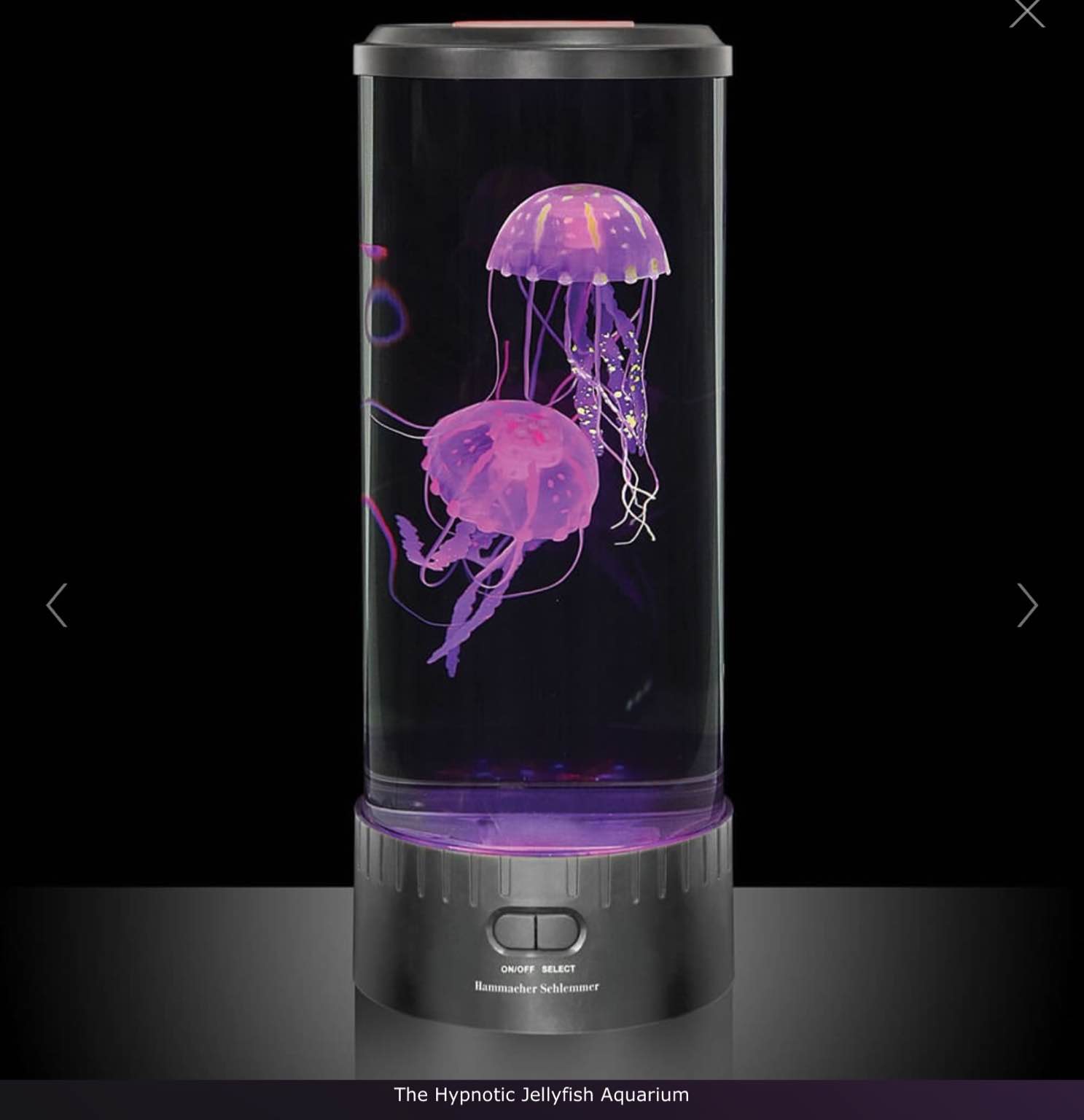 The Best Jellyfish Aquarium
