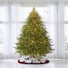 The World's Best Prelit Fraser Fir (8.5' Full LED)