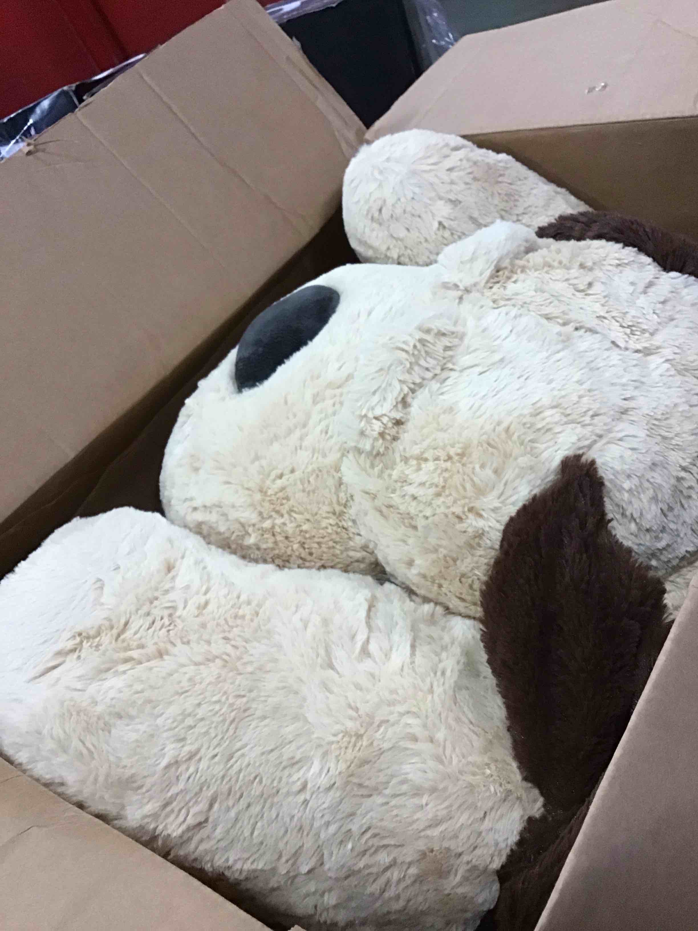 https://s3.amazonaws.com/lotting-images-prod/bidfta/PPE0059847_1723647916345.jpeg