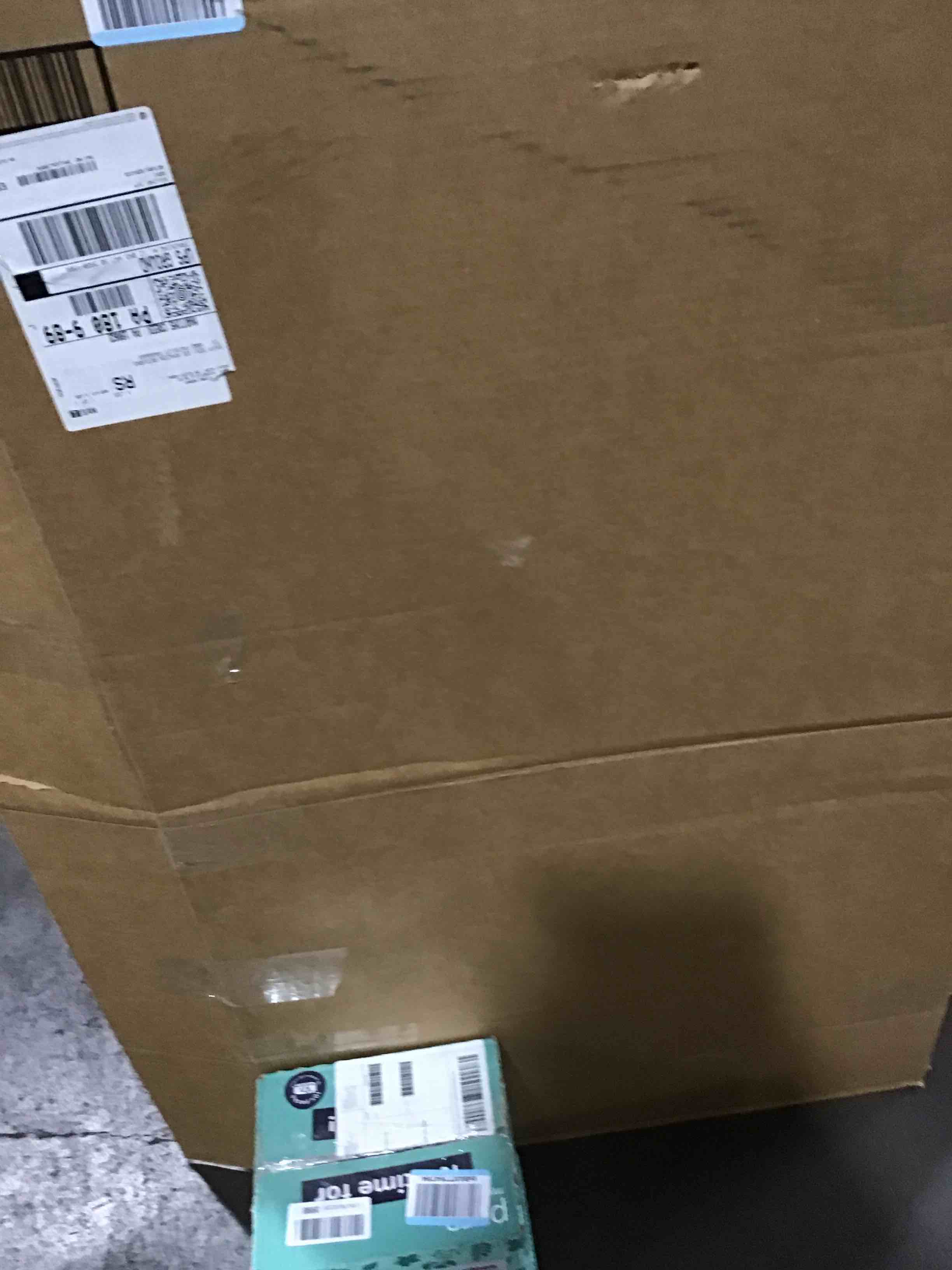 https://s3.amazonaws.com/lotting-images-prod/bidfta/PPE0090149_1730229484402.jpeg