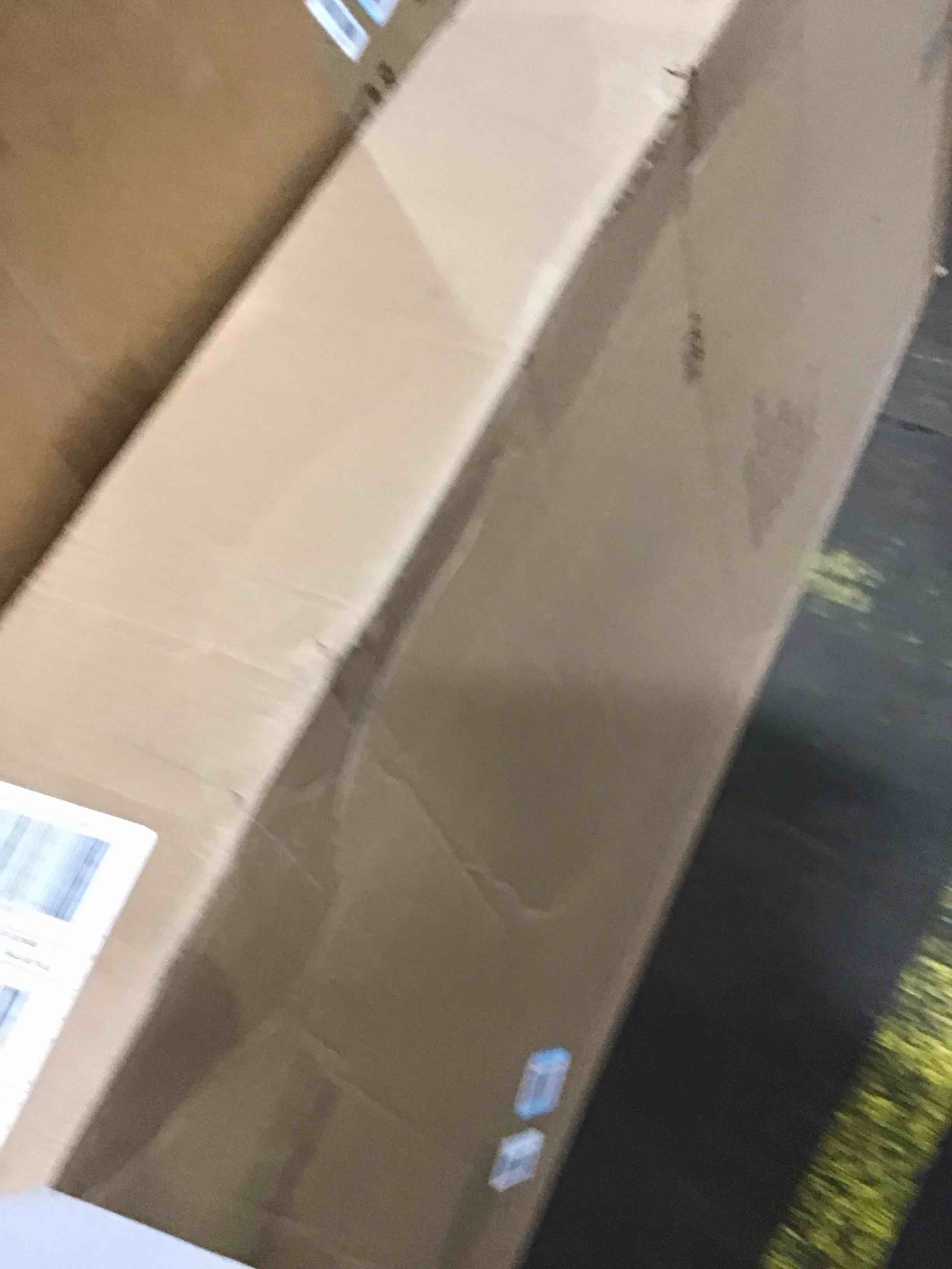 https://s3.amazonaws.com/lotting-images-prod/bidfta/PPE0090280_1730232751175.jpeg