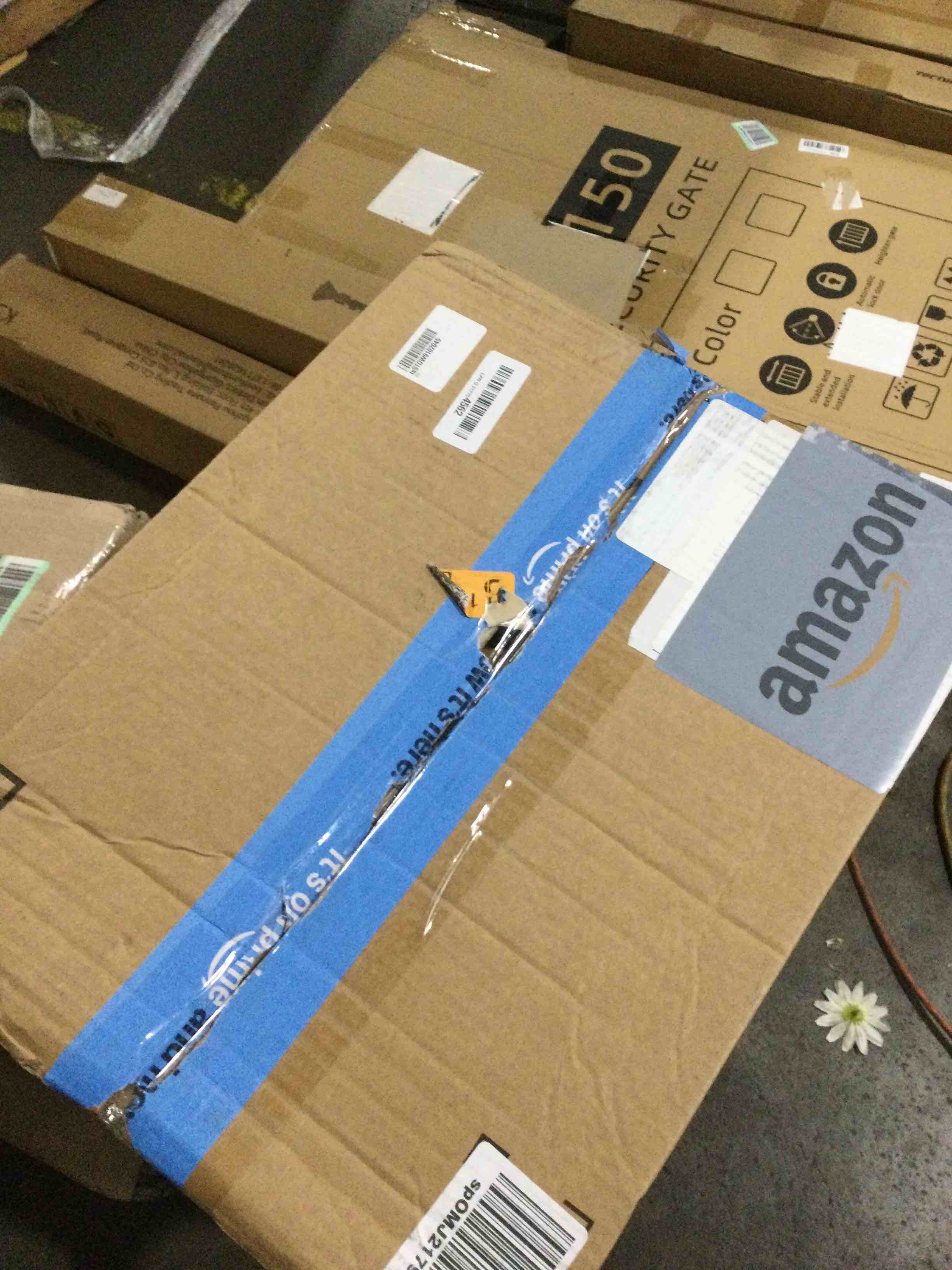 https://s3.amazonaws.com/lotting-images-prod/bidfta/PPE0093104_1729024965745.jpeg