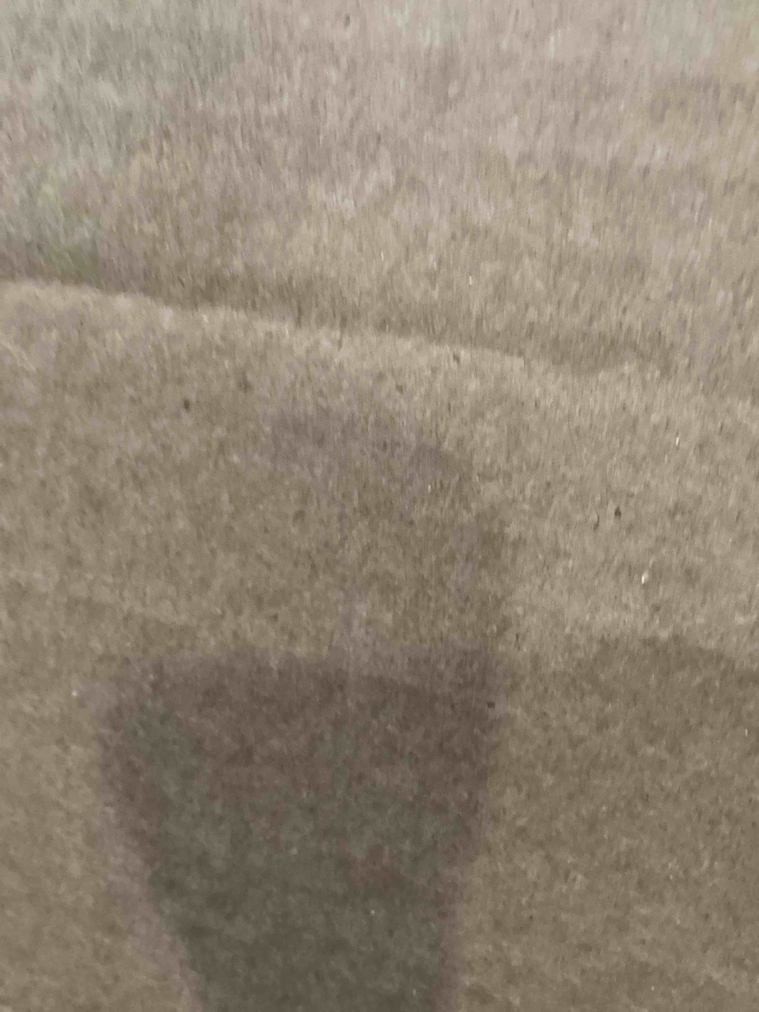 https://s3.amazonaws.com/lotting-images-prod/bidfta/PPE0122314_1730232071833.jpeg