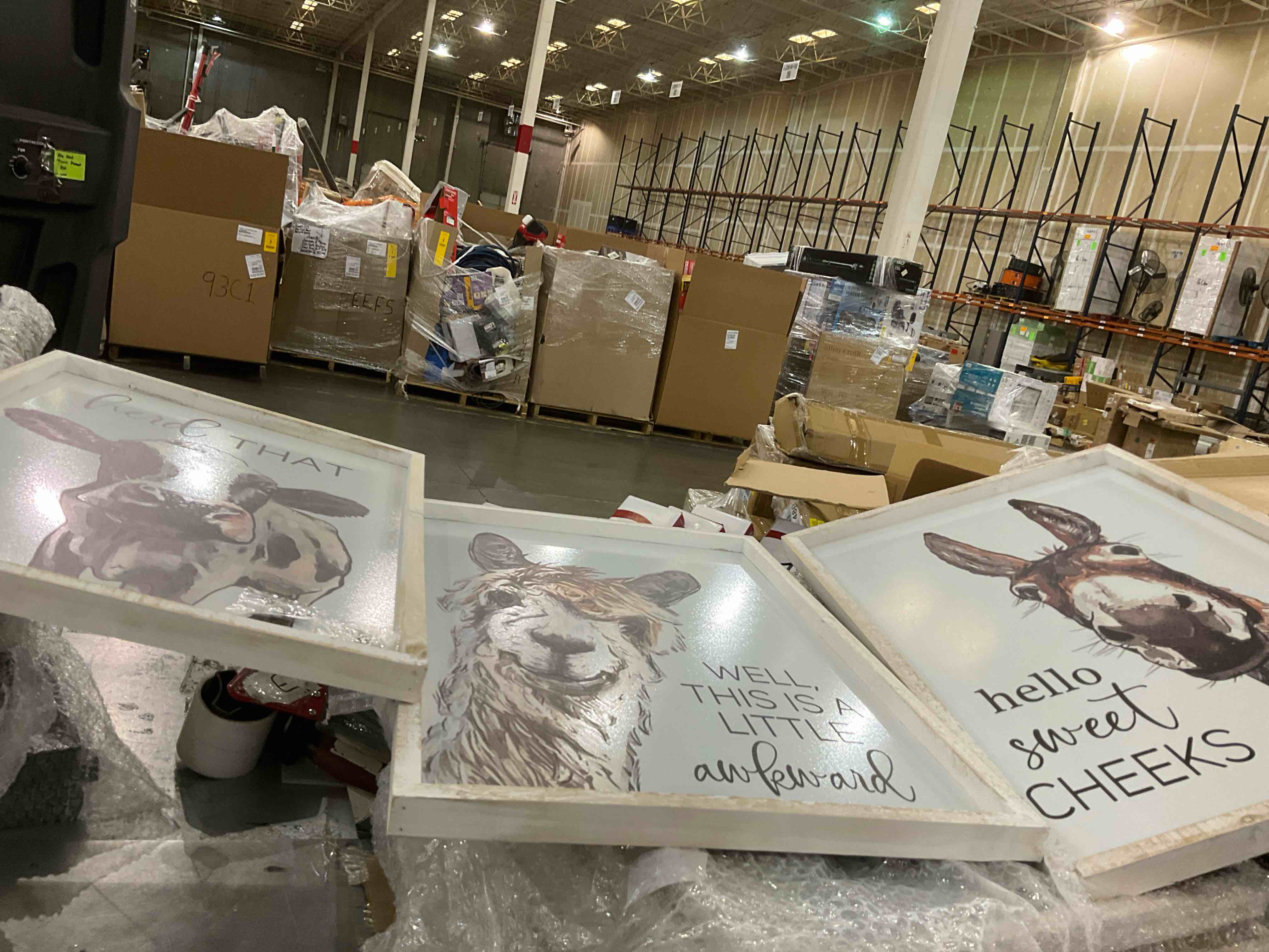 https://s3.amazonaws.com/lotting-images-prod/bidfta/PPE0309577_1730559821256.jpeg