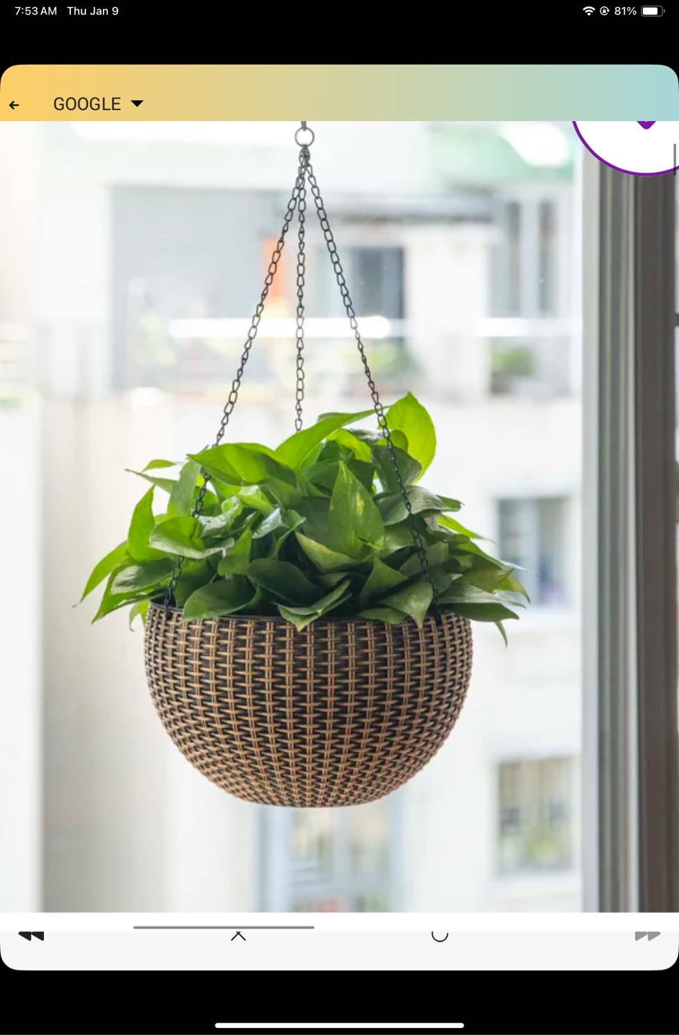 Eckart Self-Watering Plastic Hanging Planter