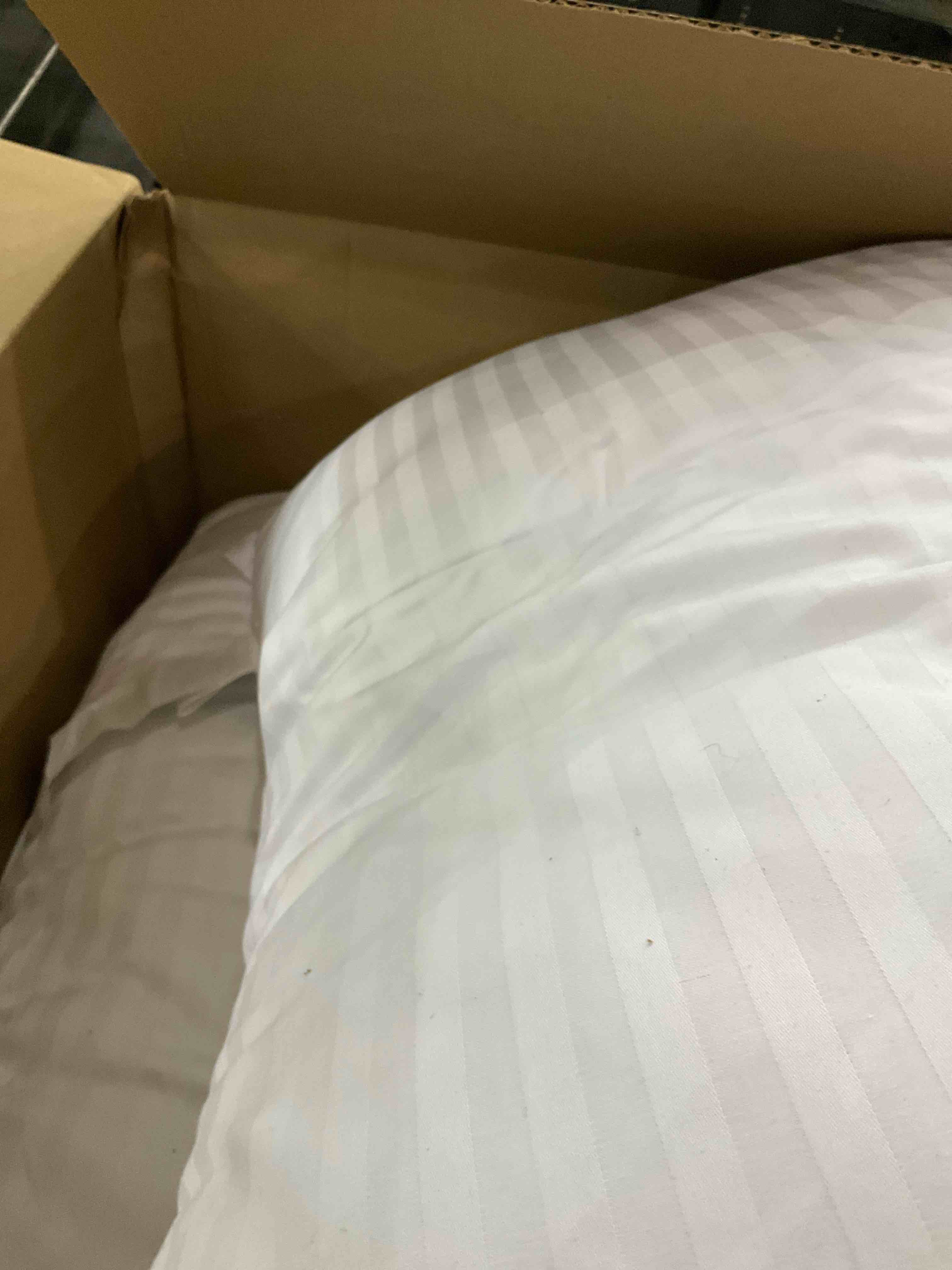 Amazon Basics King Pillow Pillowcase with Zipper, 100% Cotton Hypoallergenic, Pillow Protector, White (37 x 21 Inches), Pillows Not Included