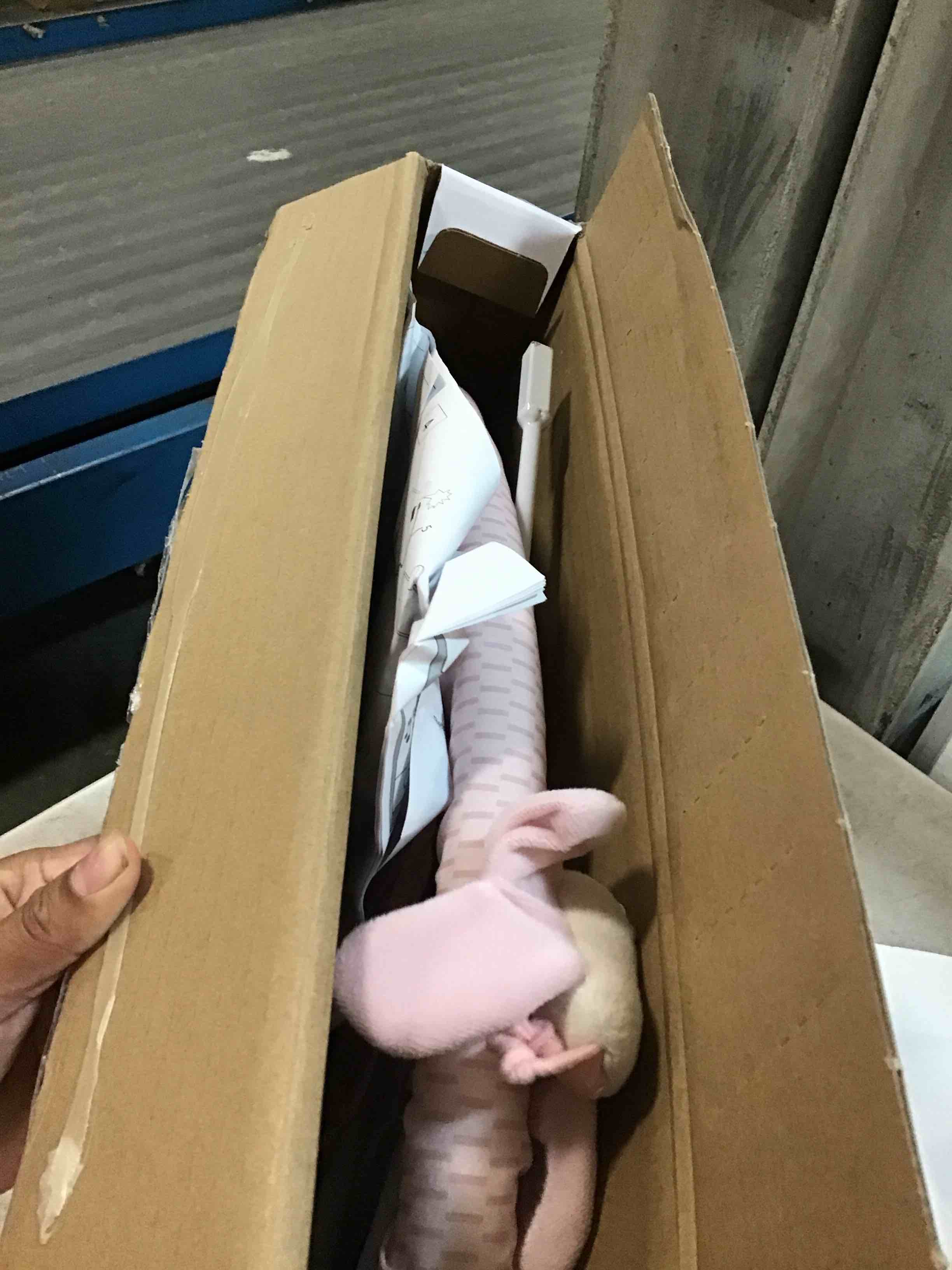 https://s3.amazonaws.com/lotting-images-prod/bidfta/PPE0330976_1728429690615.jpeg