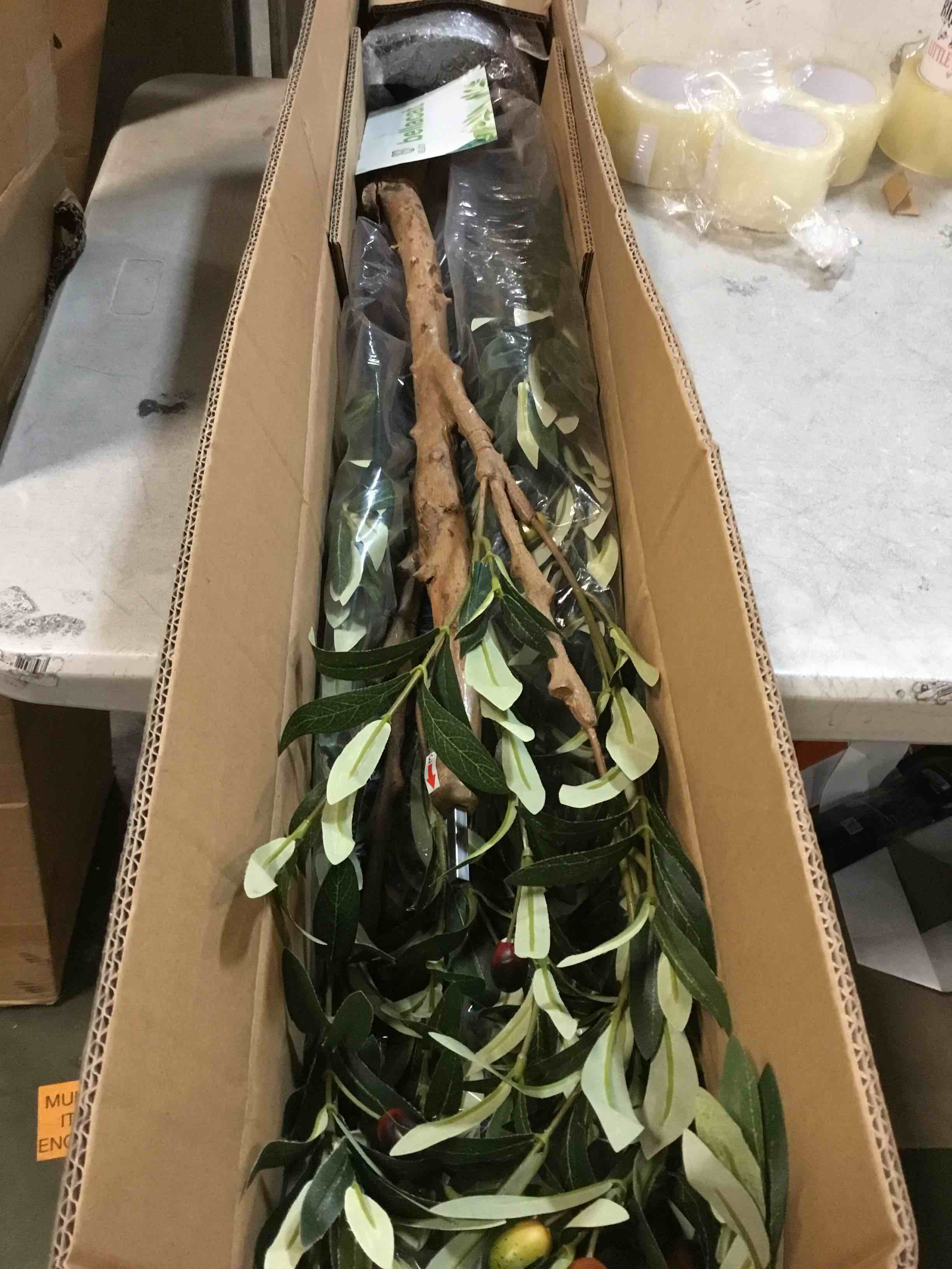 https://s3.amazonaws.com/lotting-images-prod/bidfta/PPE0337409_1729131446486.jpeg