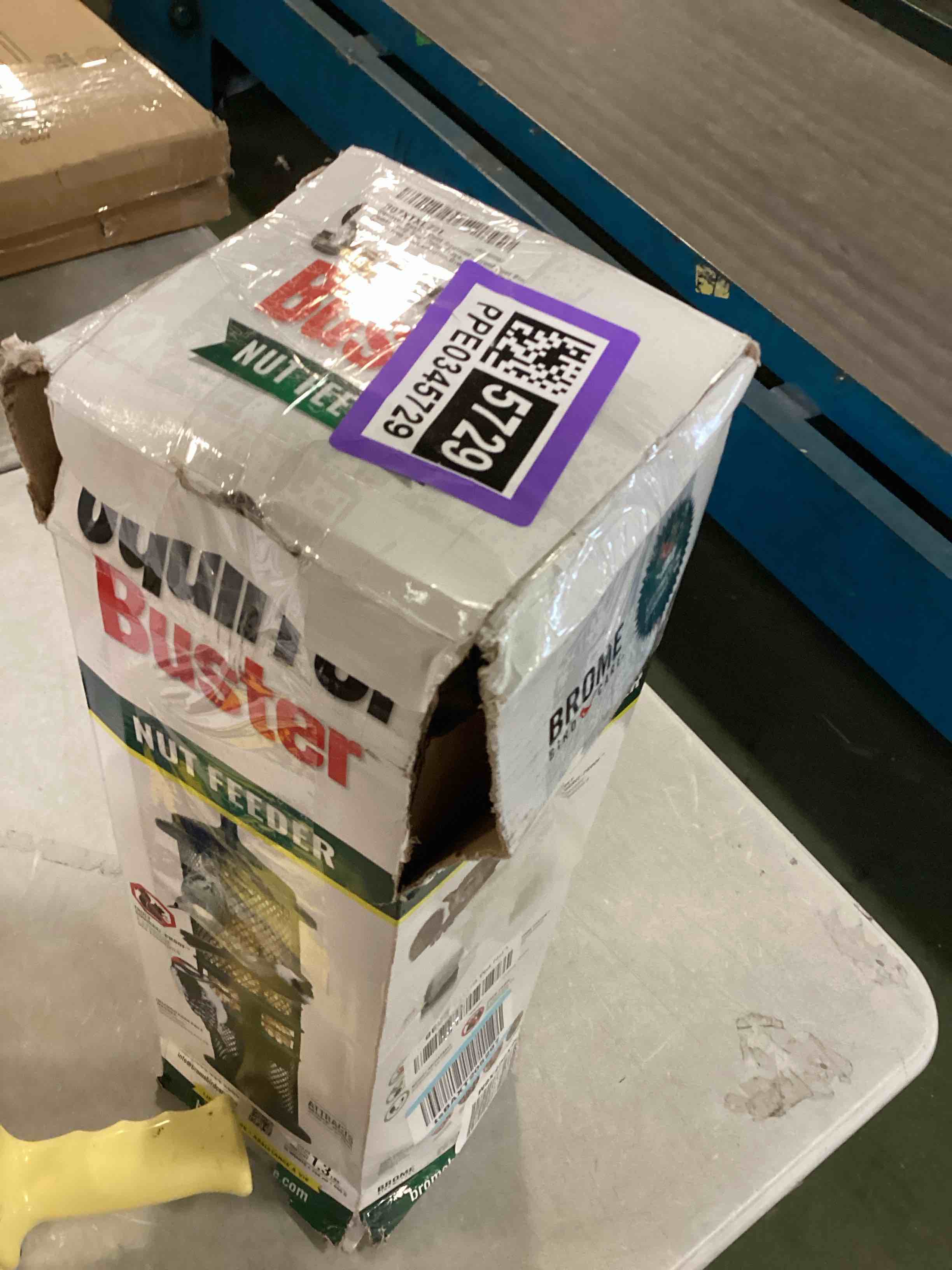 Squirrel Buster Suet Squirrelproof Suet Bird Feeder w/2 Suet Cake